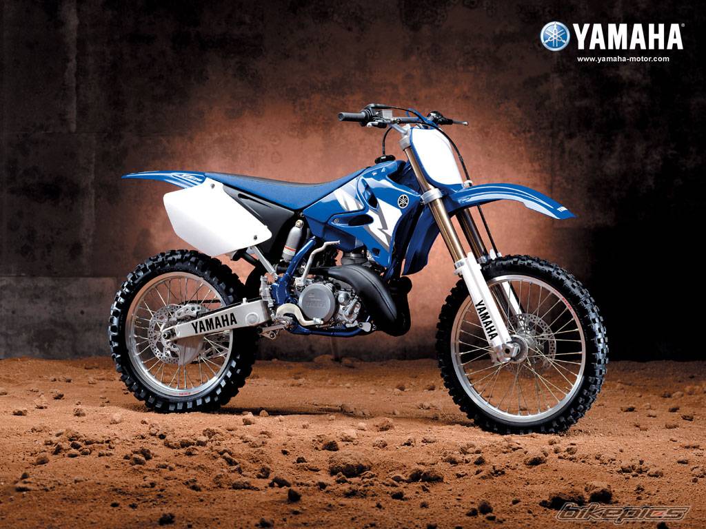 Bike Photo 262568