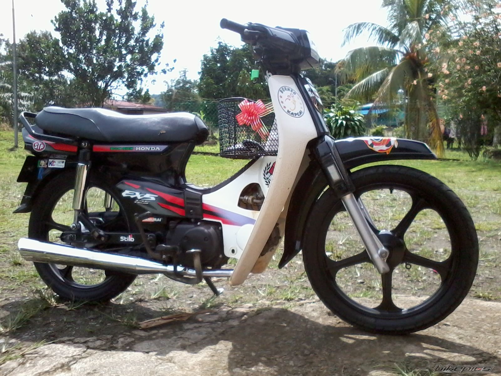 Photo 2625747
