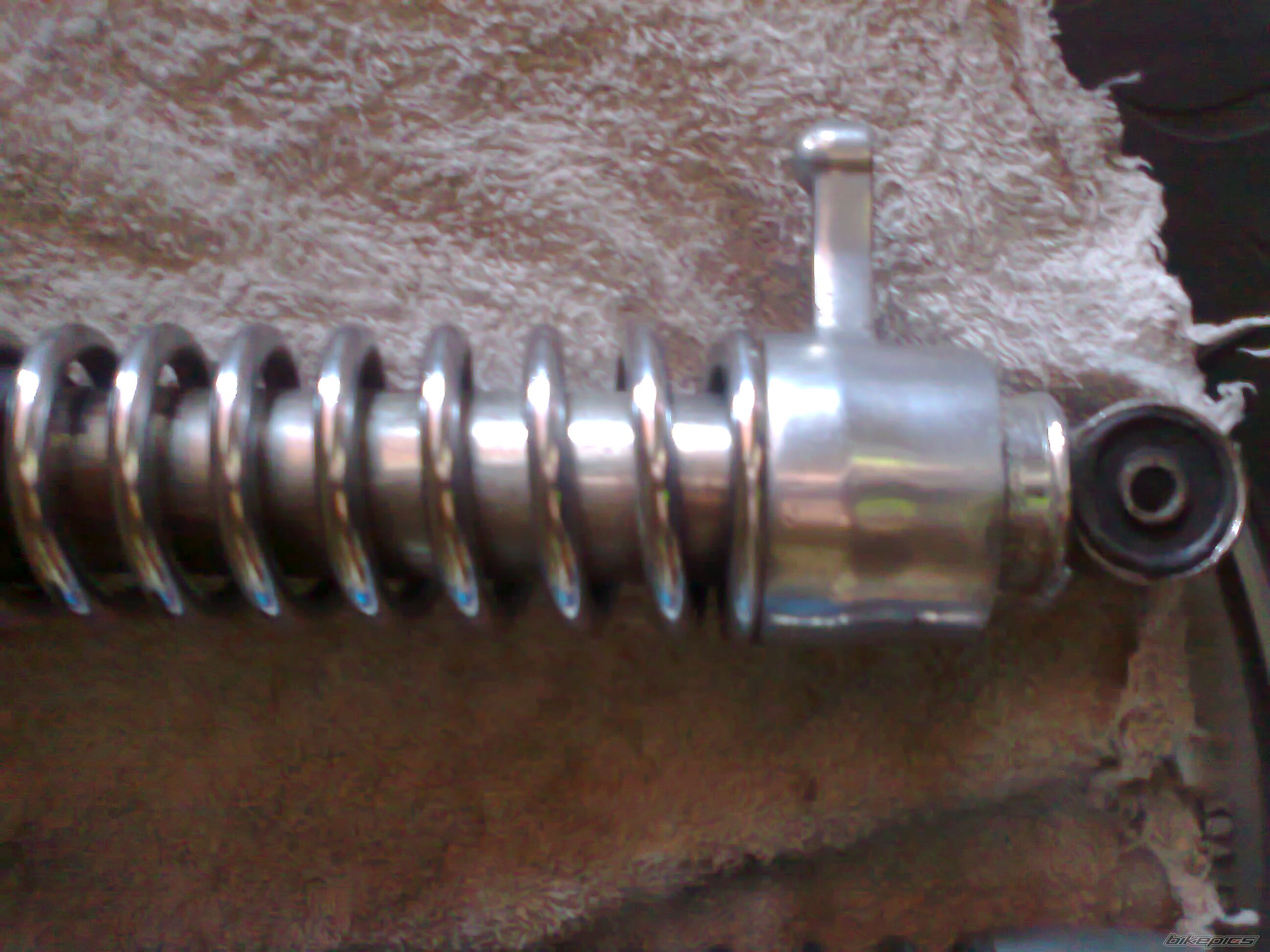 Photo 2626092