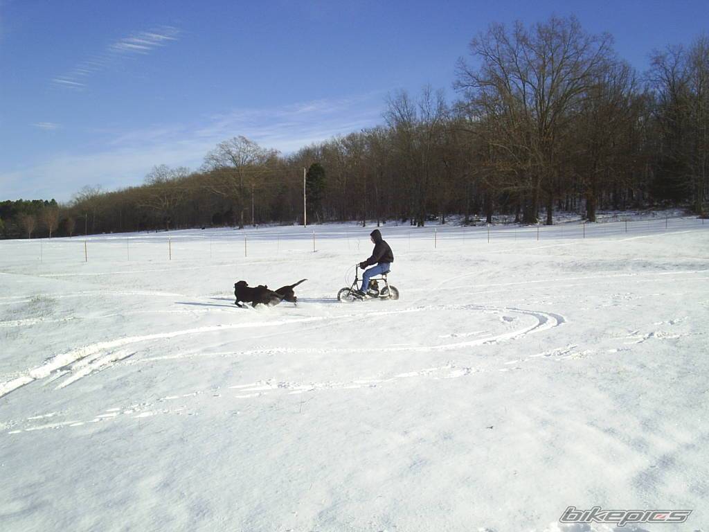 Photo 262637