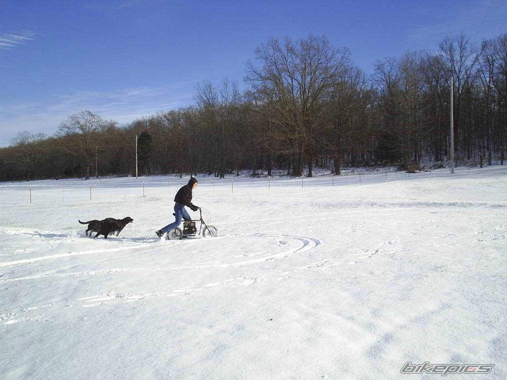 Photo 262638