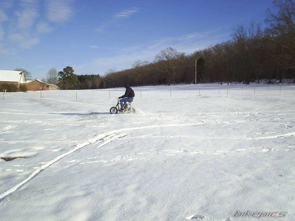 Photo 262639