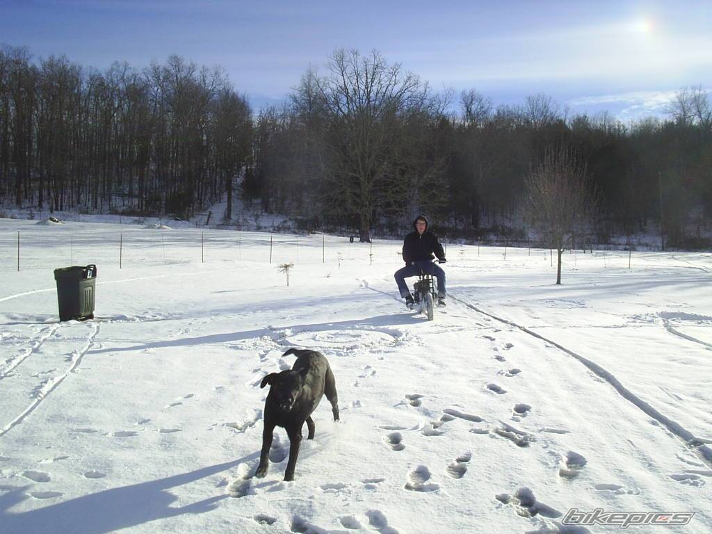 Photo 262644