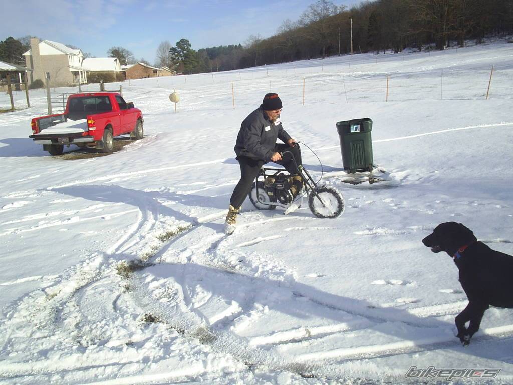 Photo 262646