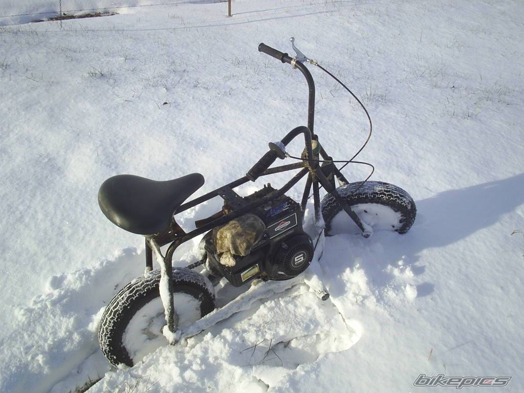 Photo 262648