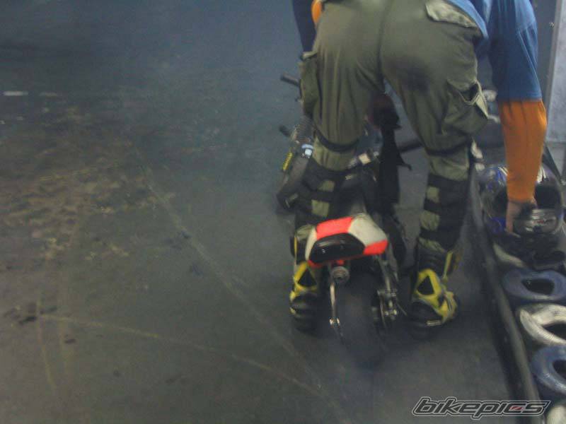 Photo 262674