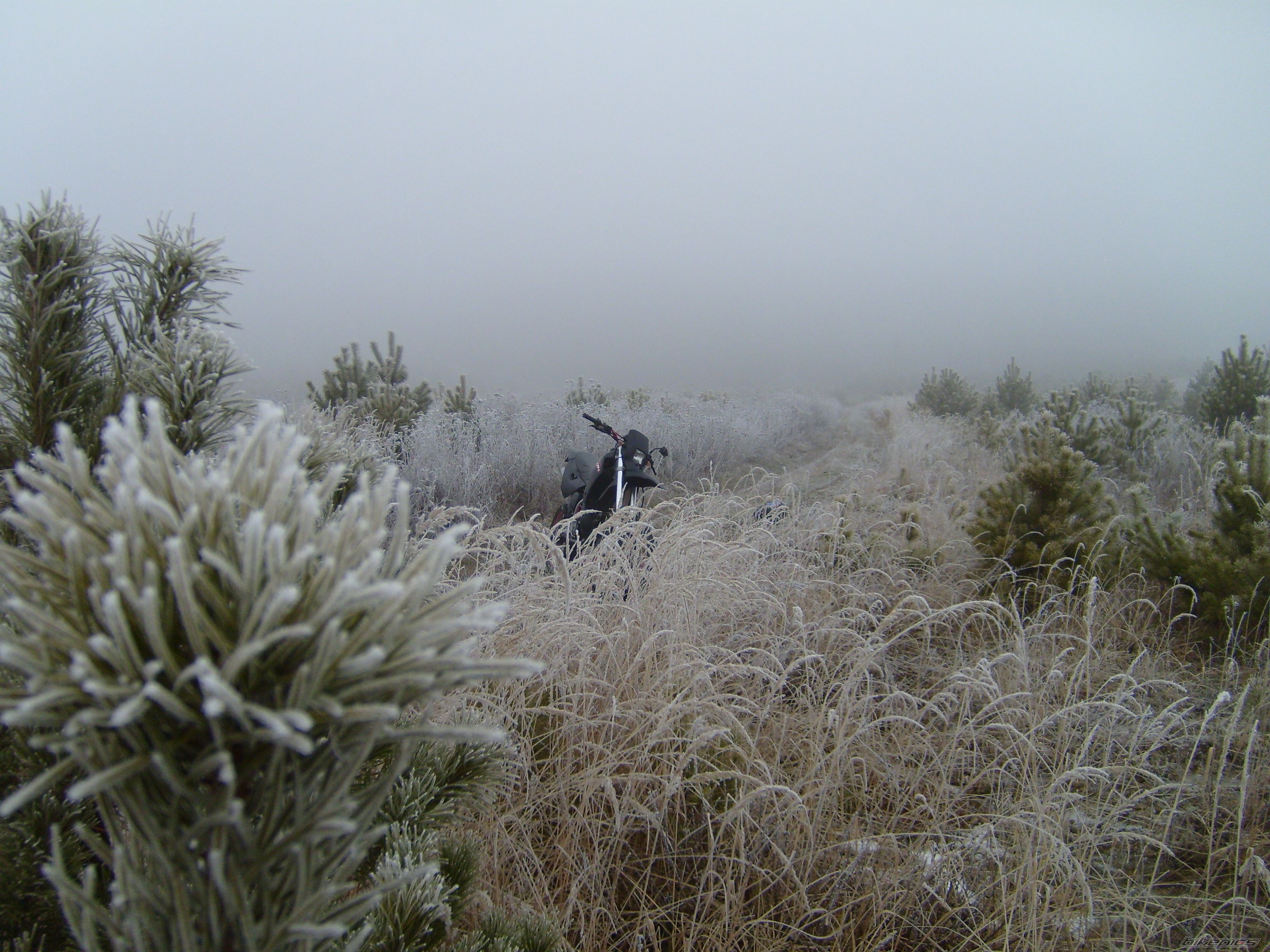 Photo 2628554