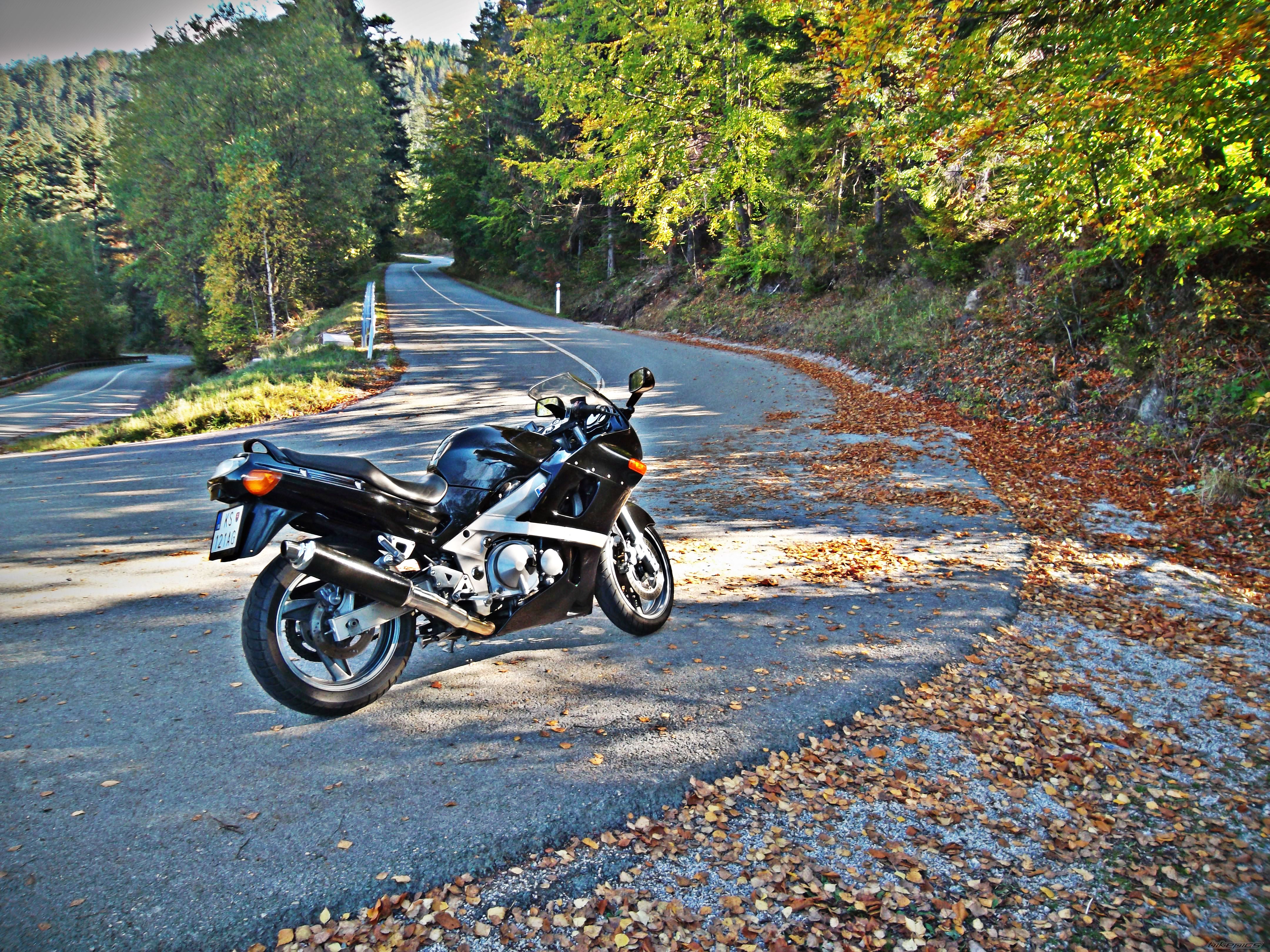 Photo 2628737