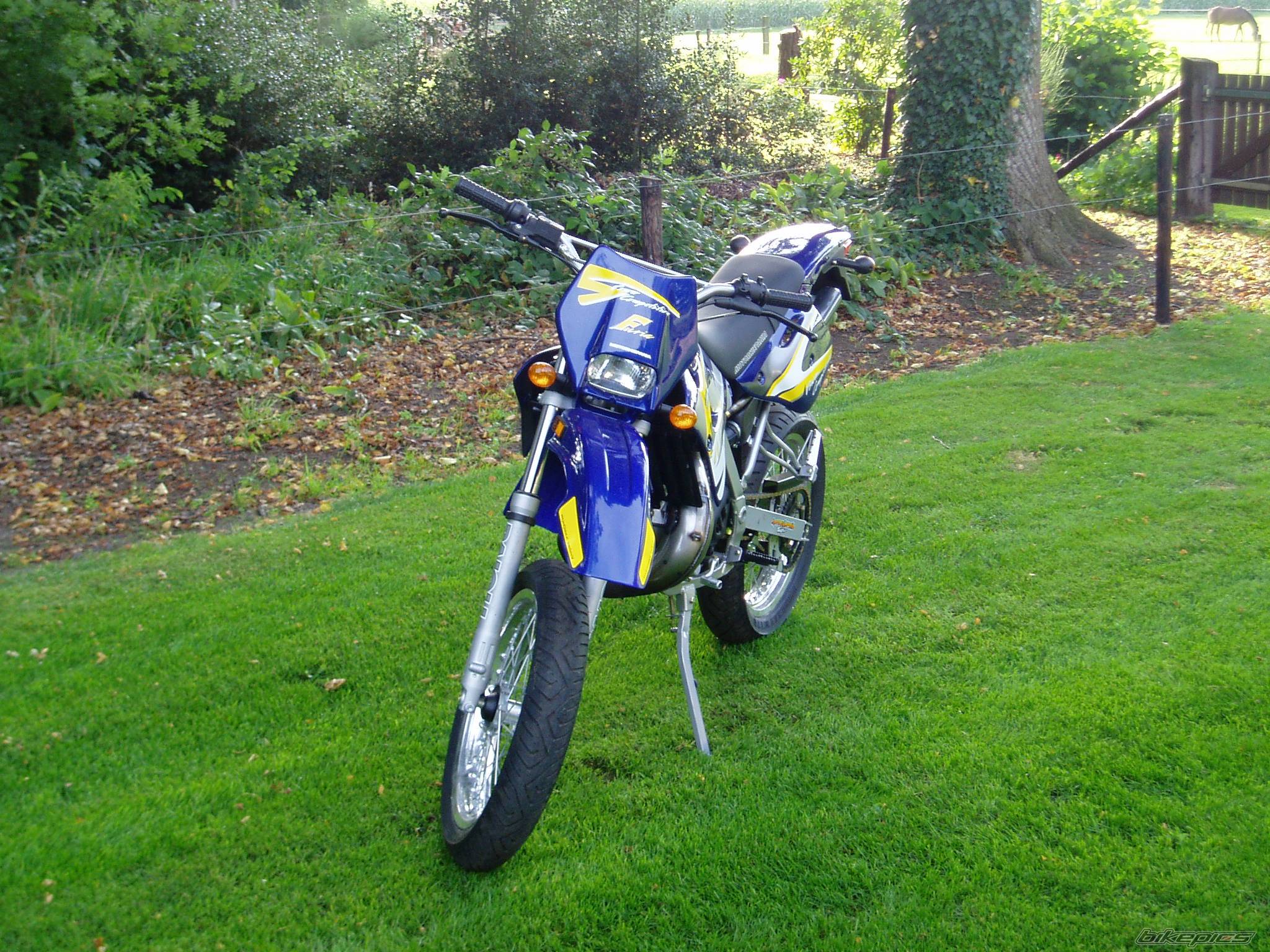 Bike Photo 262917