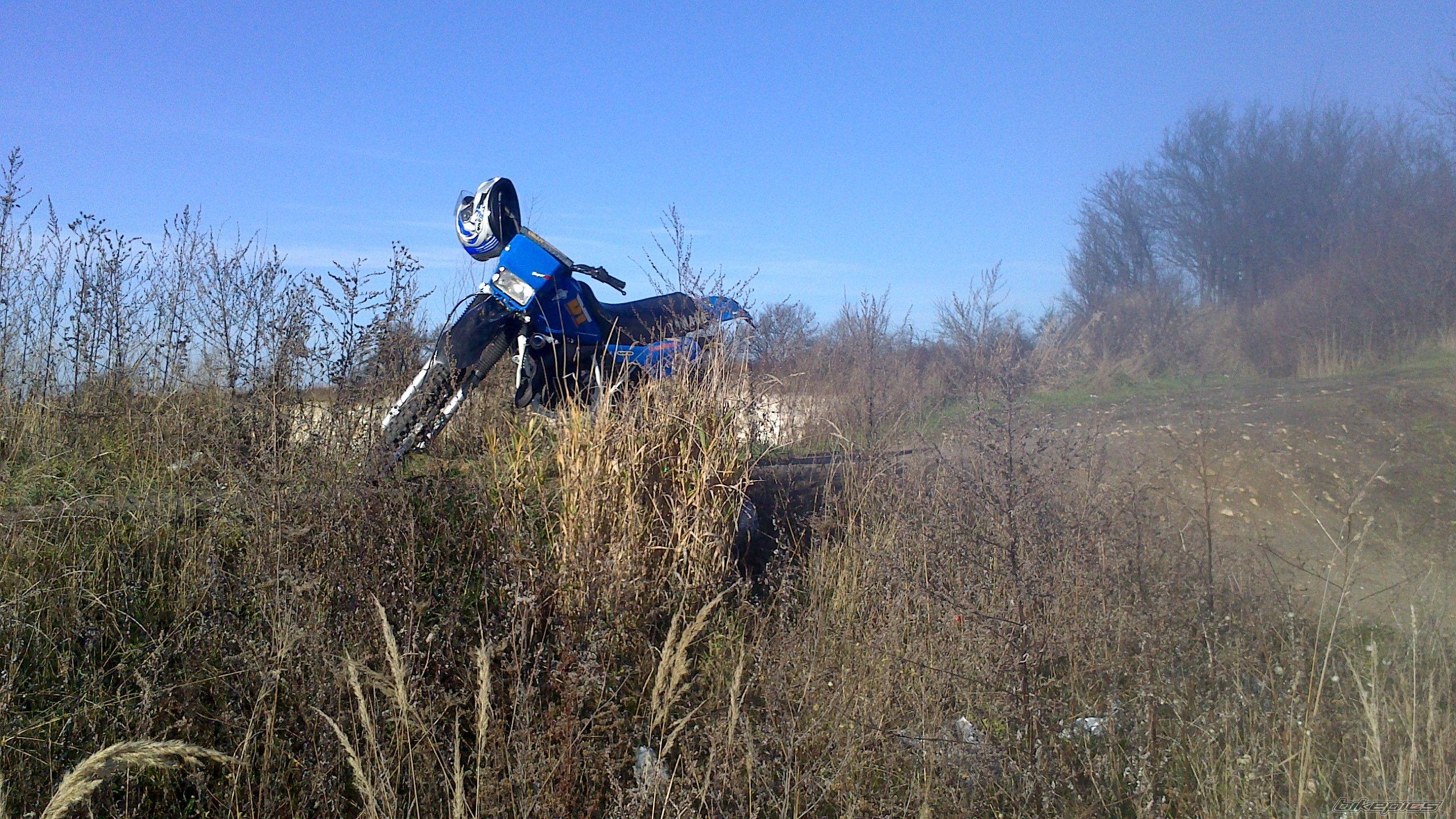 Photo 2629942