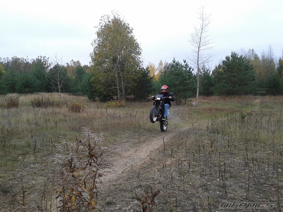 Photo 2630166