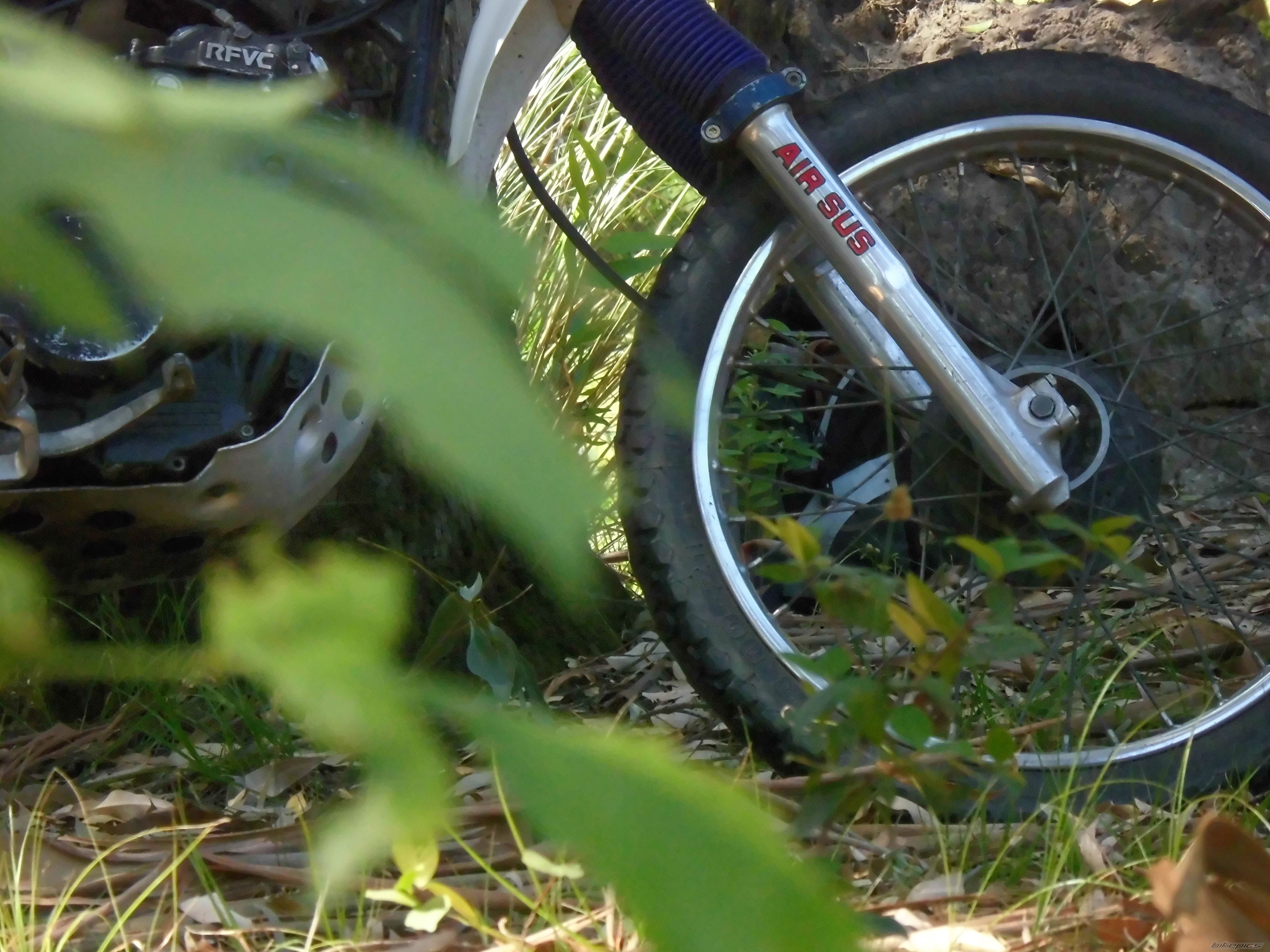 Photo 2630186