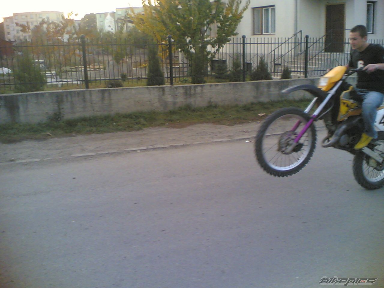 Photo 2630648