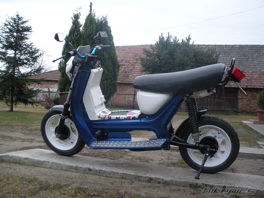 Photo 2631299