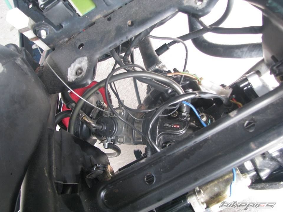 Photo 2632169
