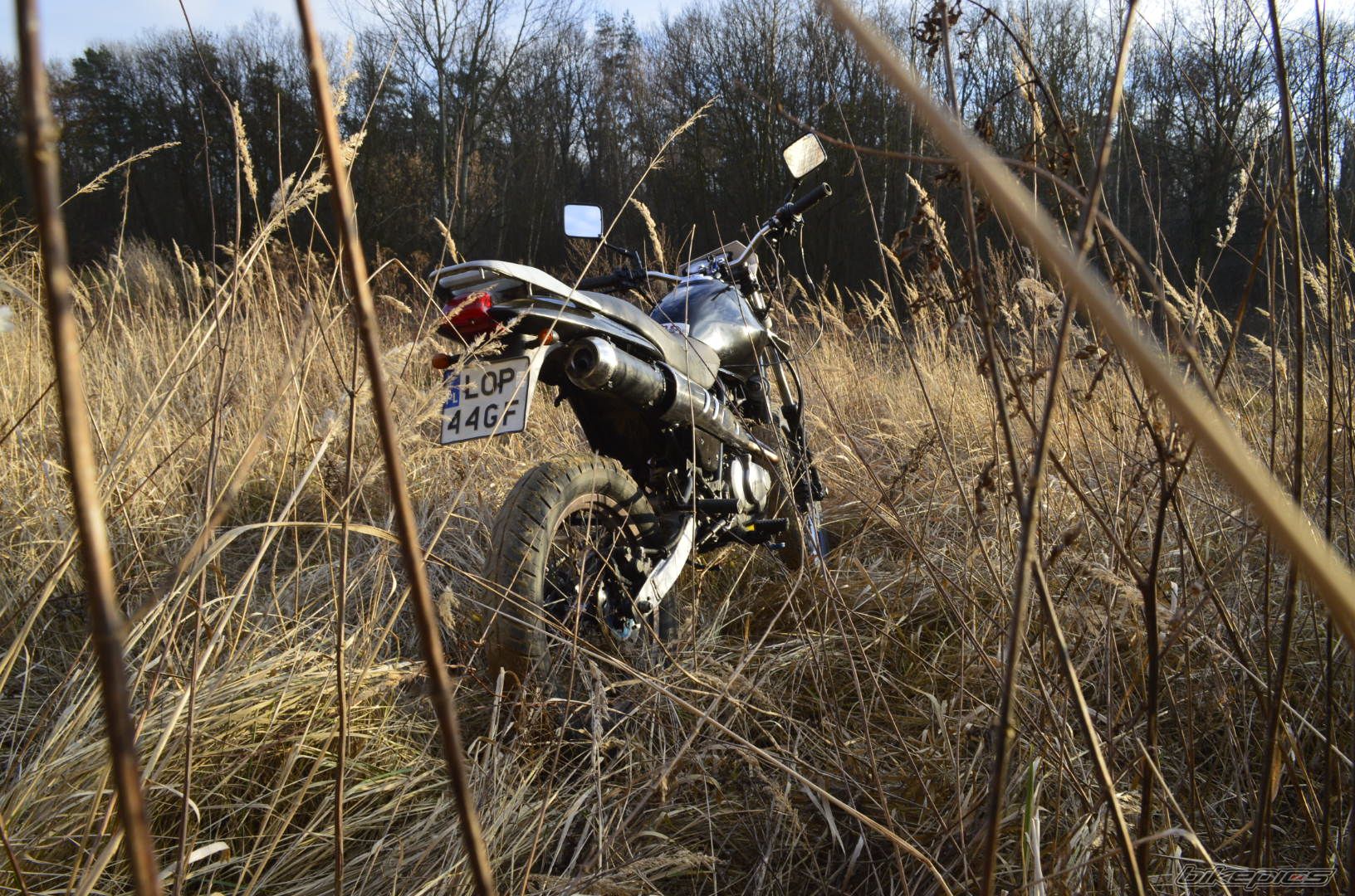 Photo 2633547