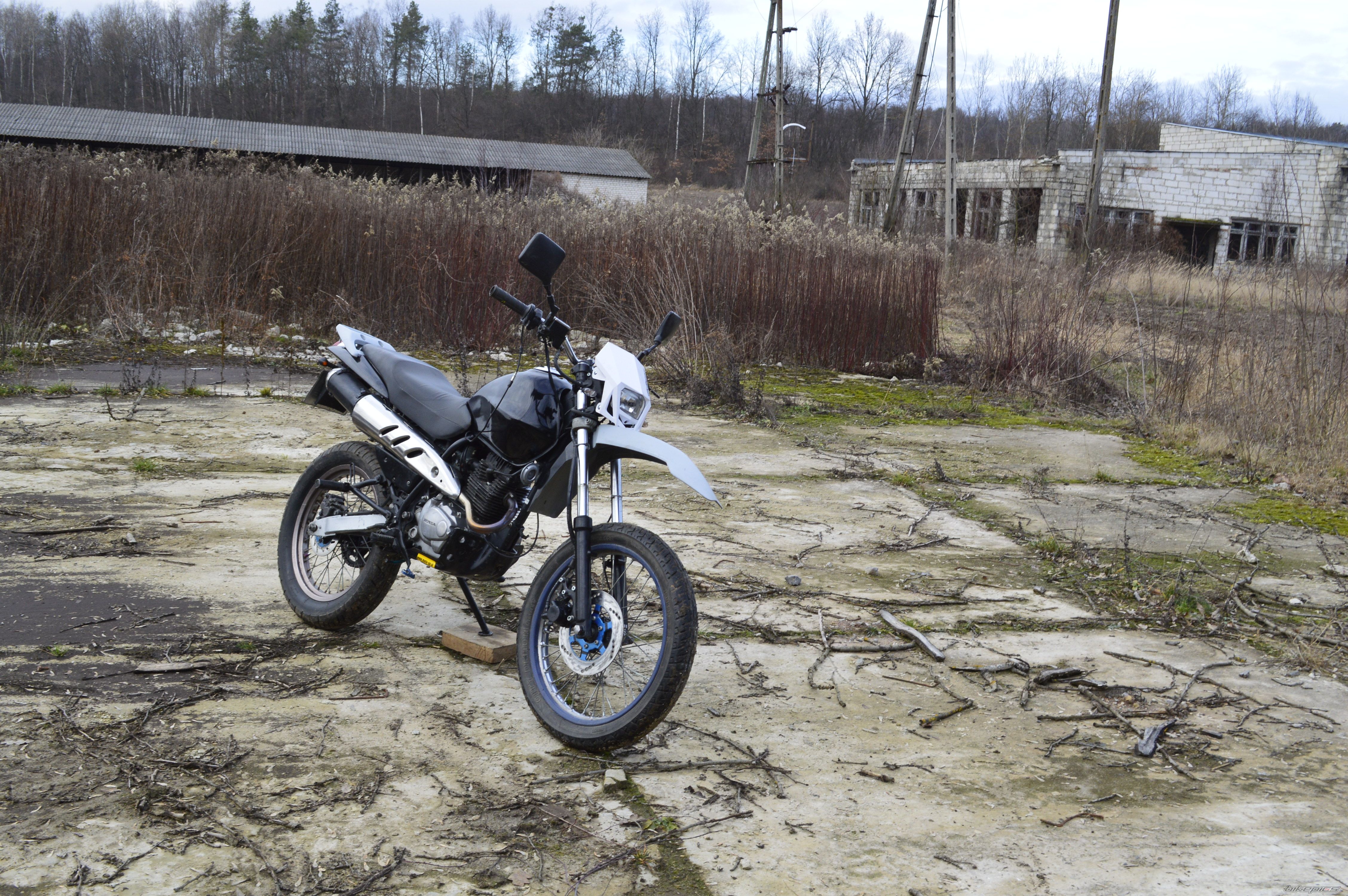 Photo 2633651