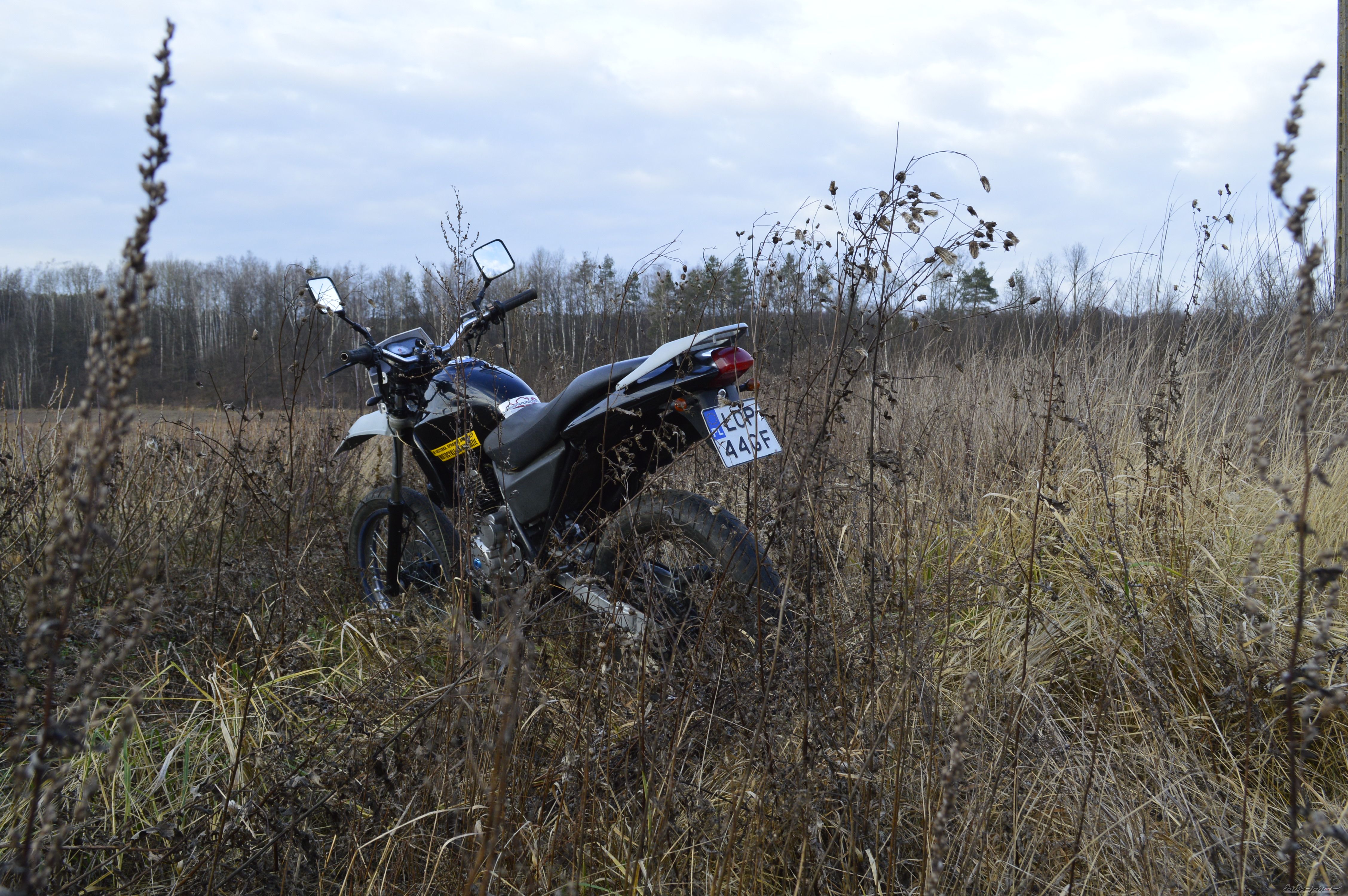 Photo 2633661