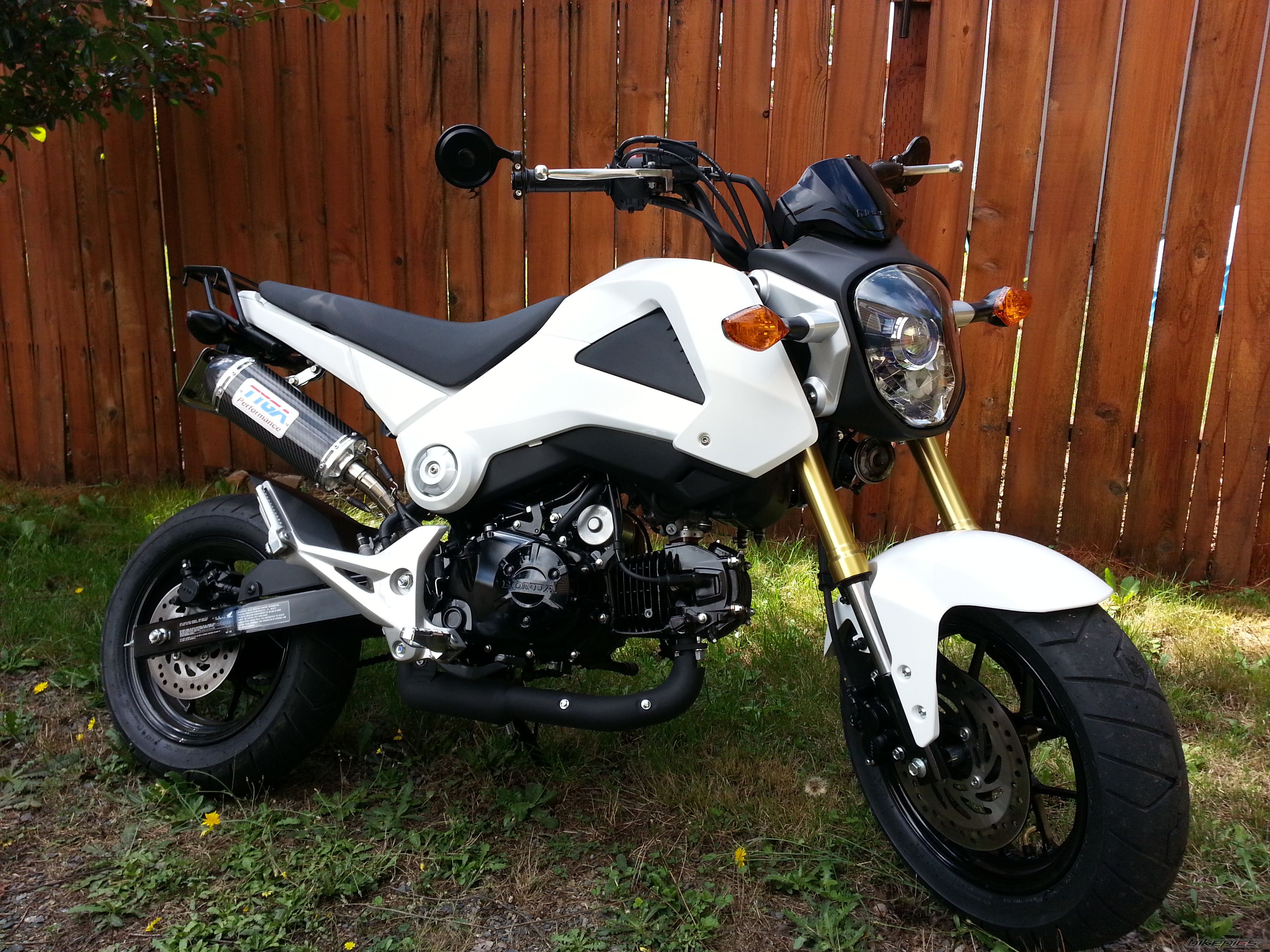 Photo 2635146