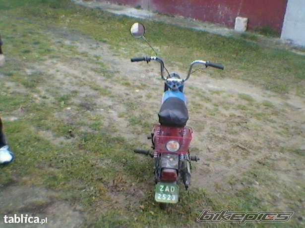 Photo 2637976