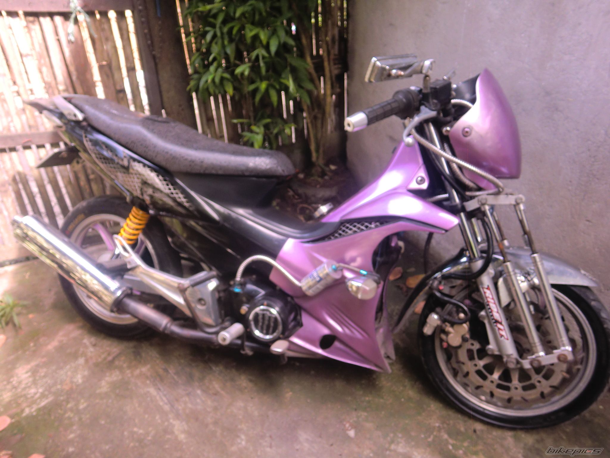 Photo 2640752