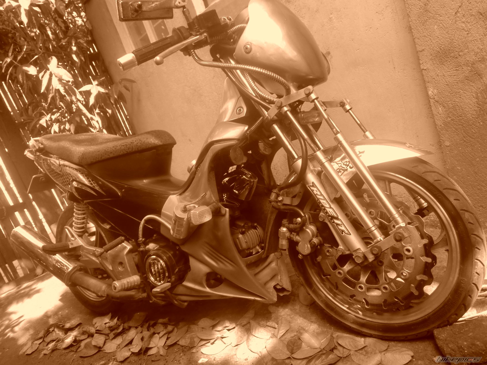 Photo 2640762