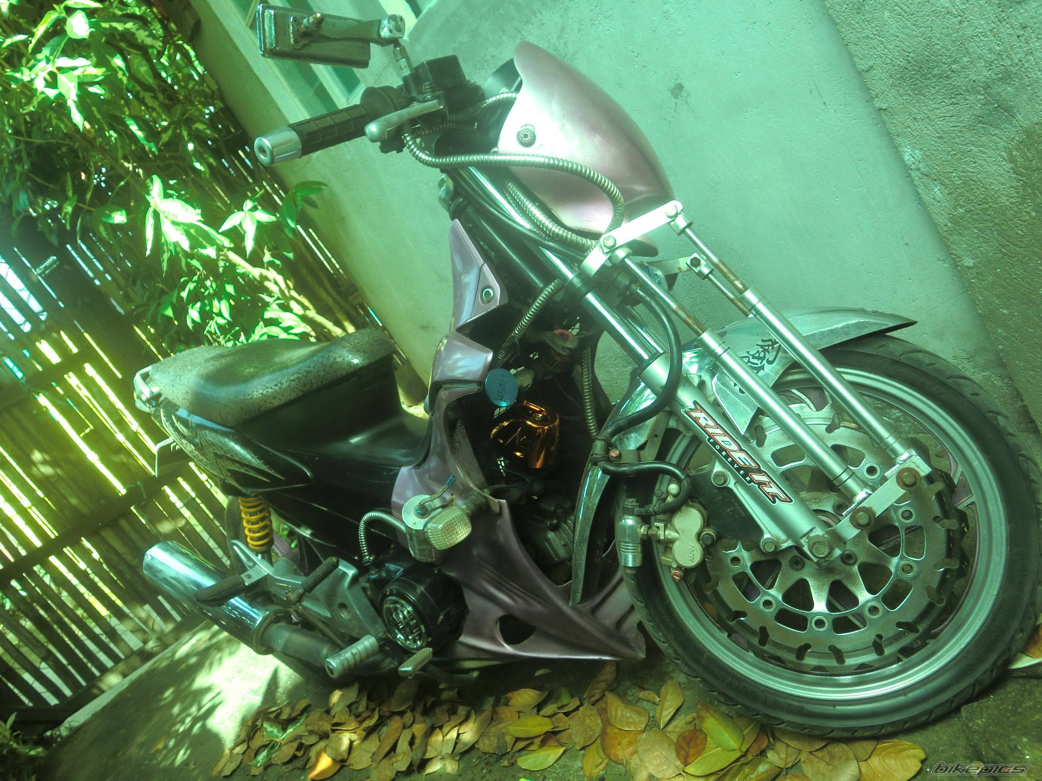 Photo 2640766