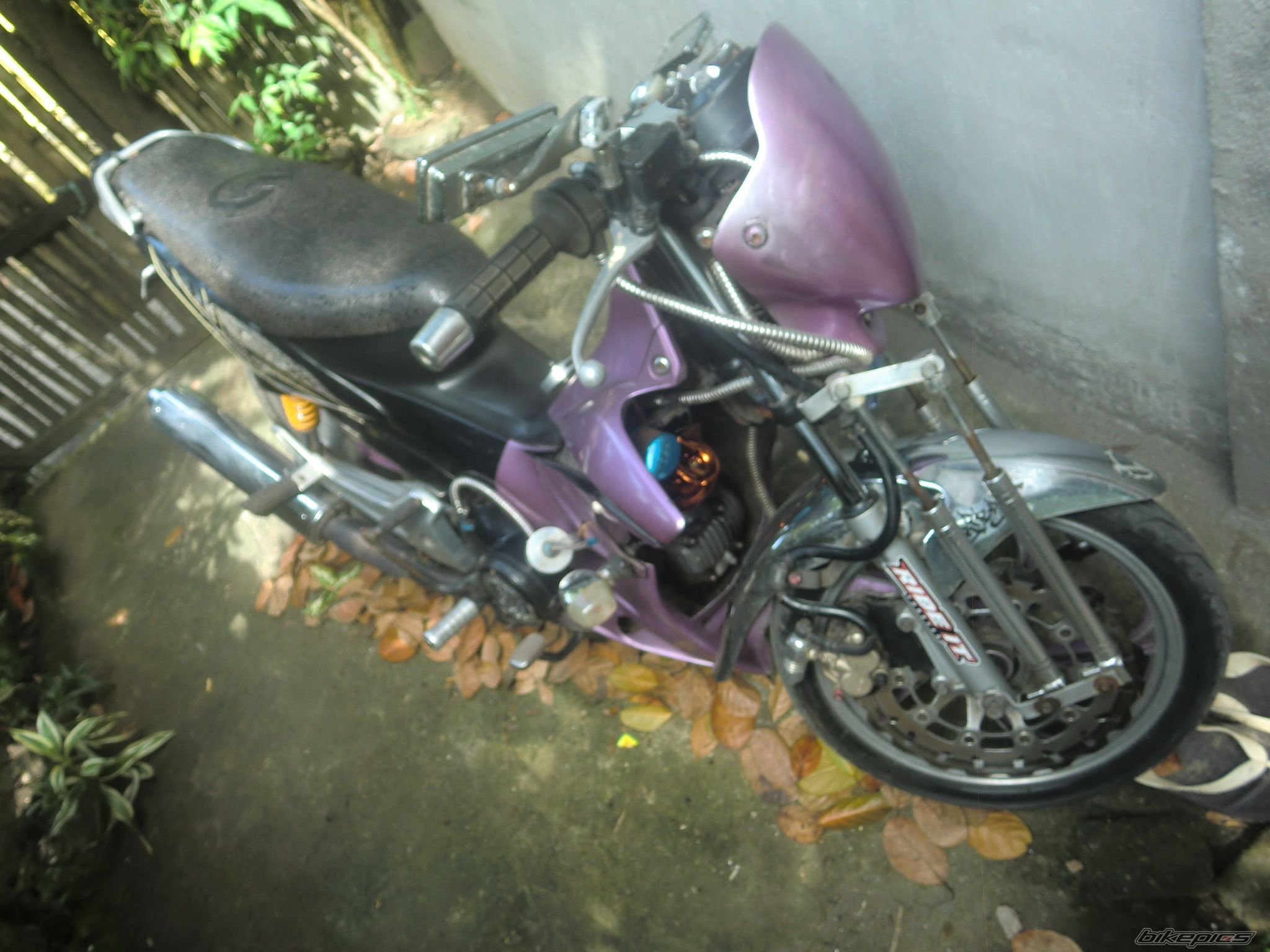 Photo 2640780