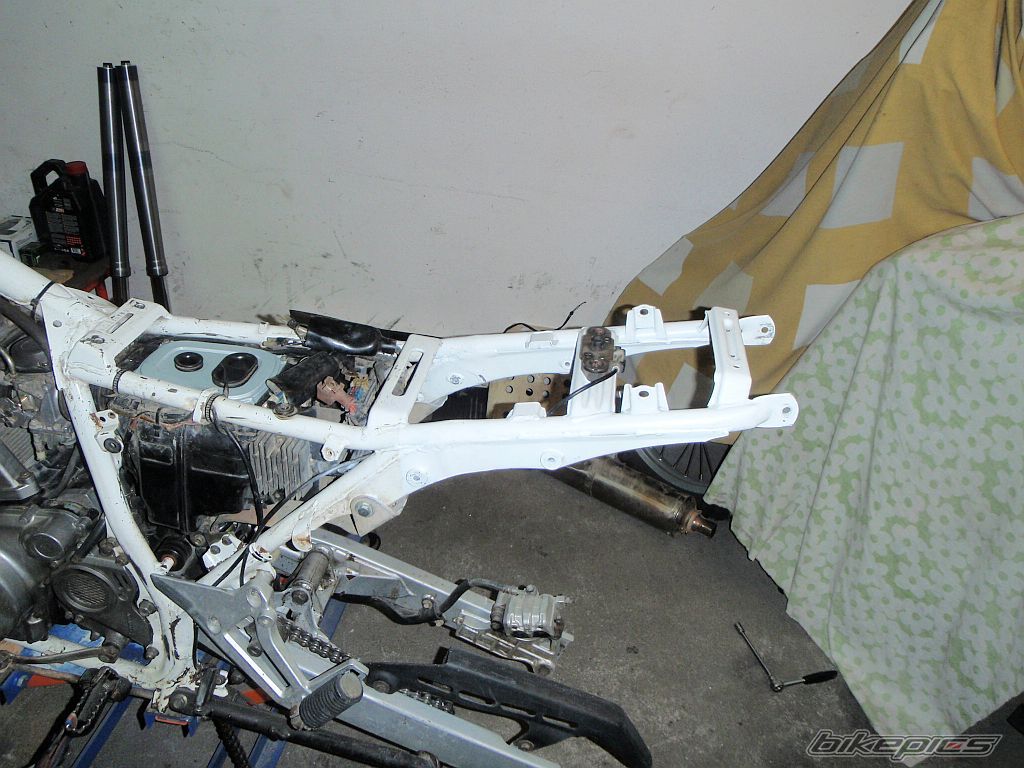 Photo 2641394