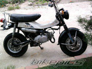 Photo 2641981