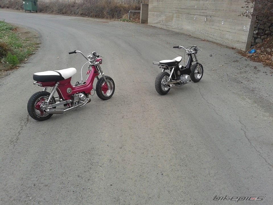 Photo 2641988