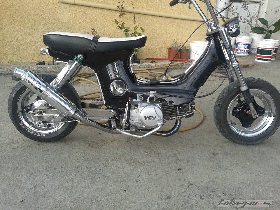 Photo 2641990