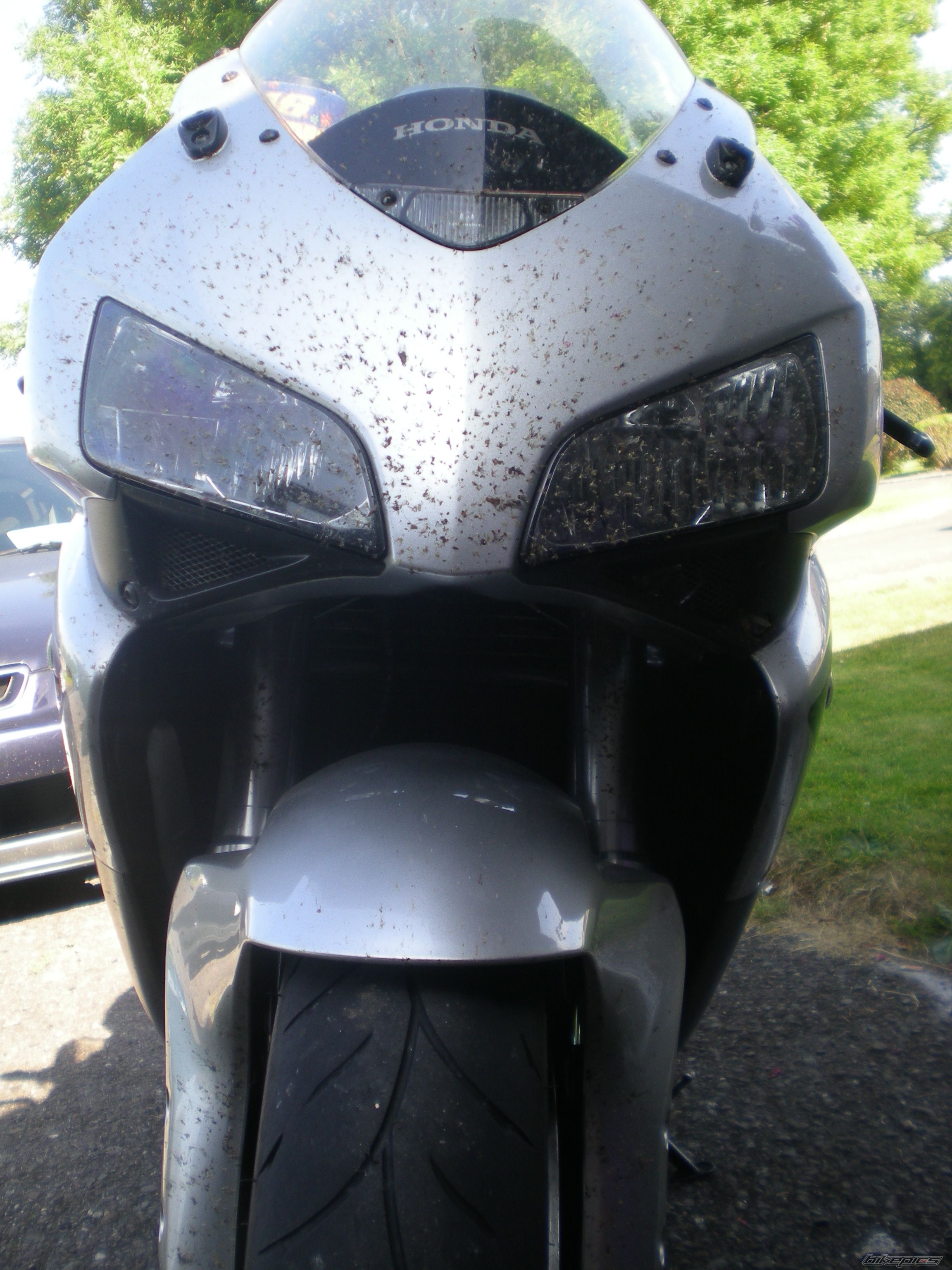 Photo 2642330