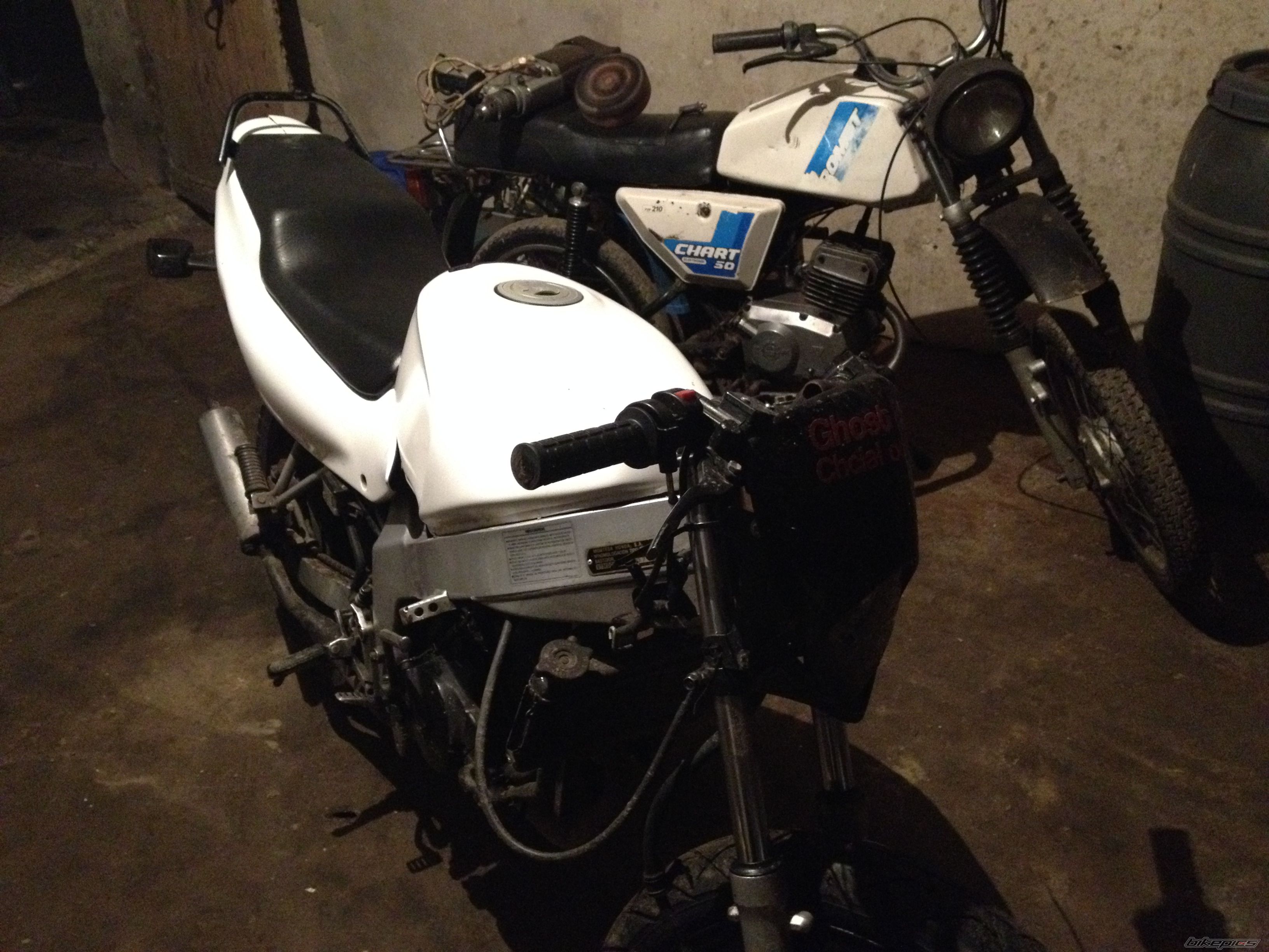 Photo 2642946