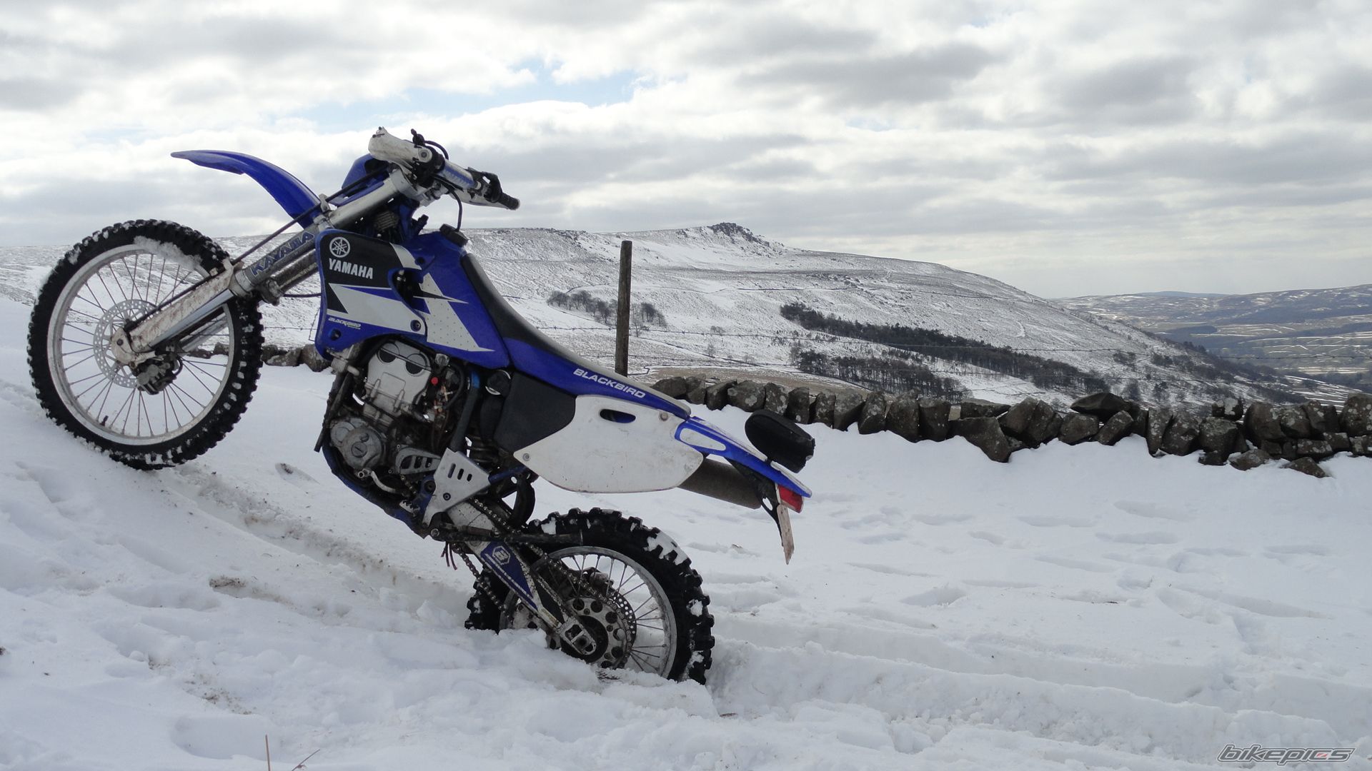 Photo 2643251