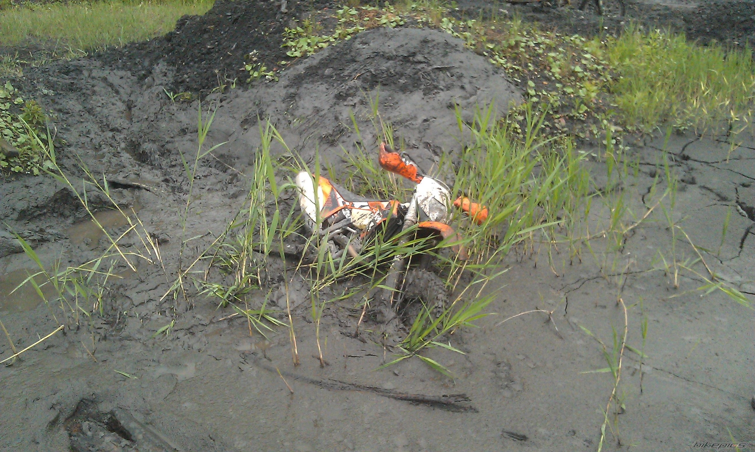 Photo 2643821