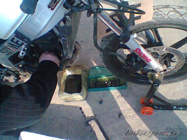 Photo 2649523