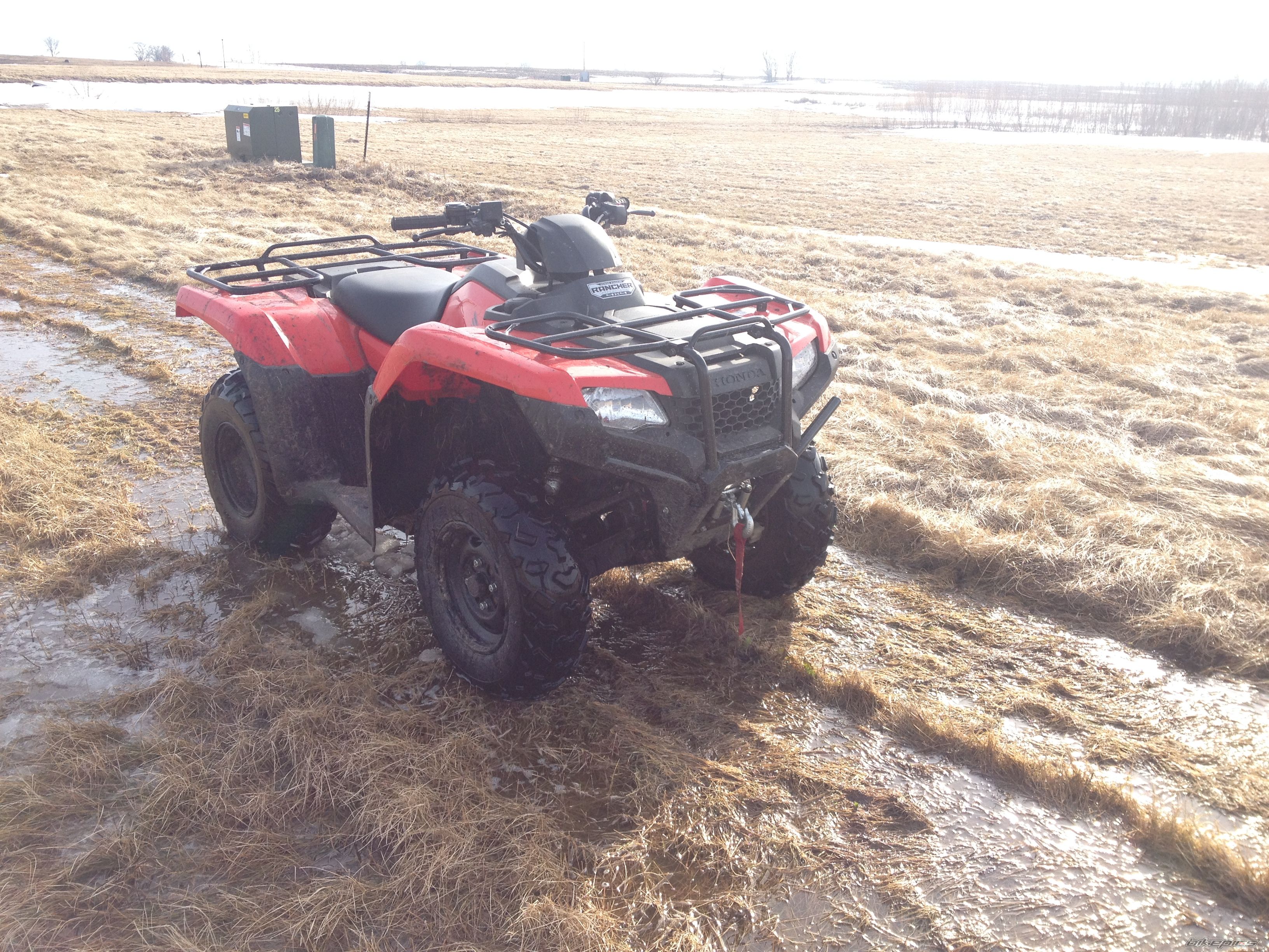 Photo 2649768