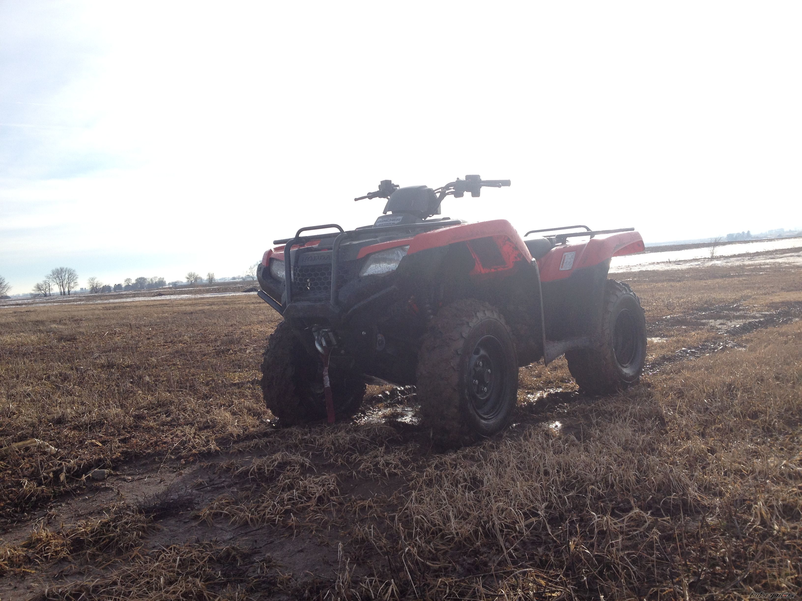Photo 2649771