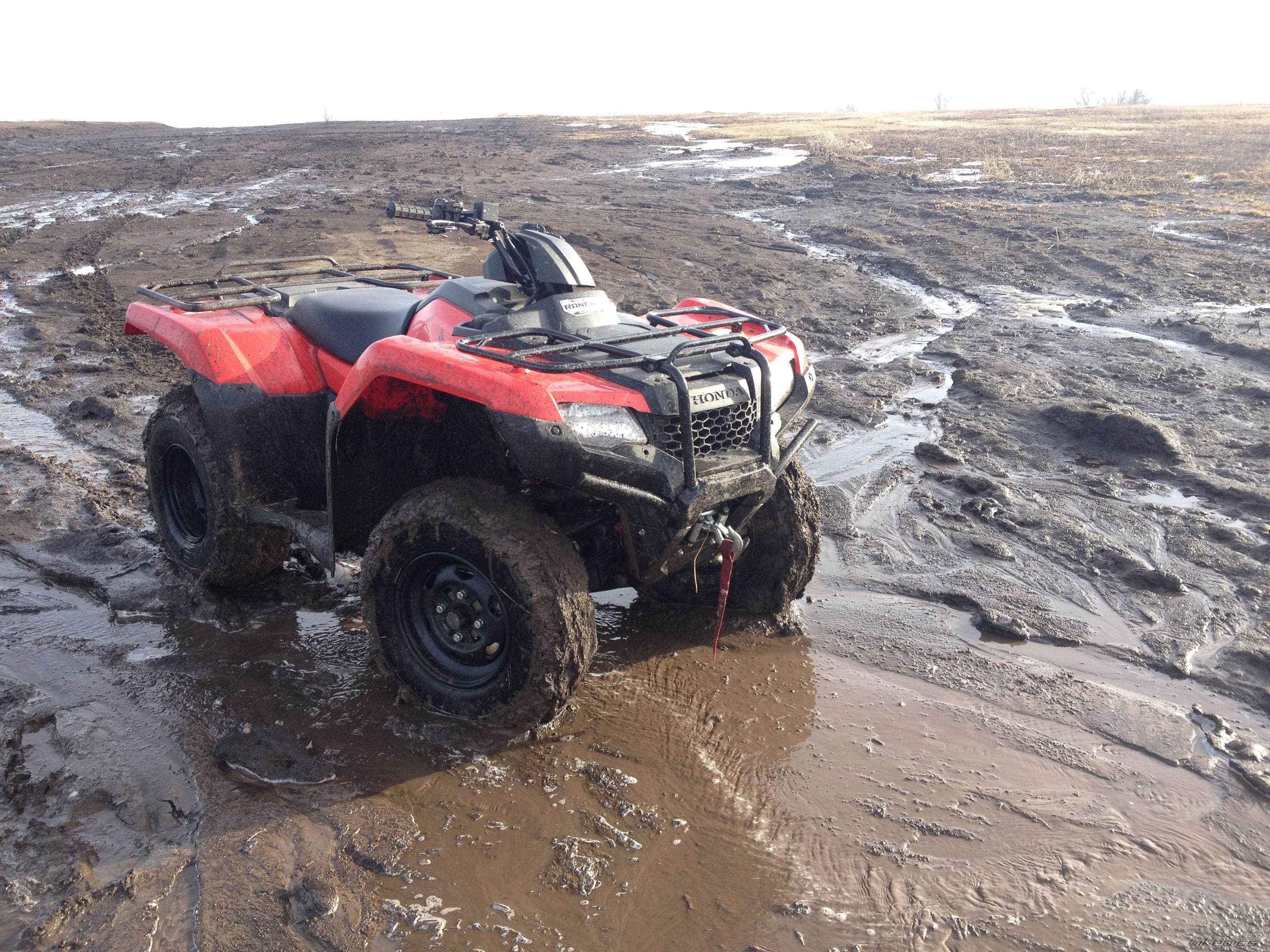 Photo 2649772
