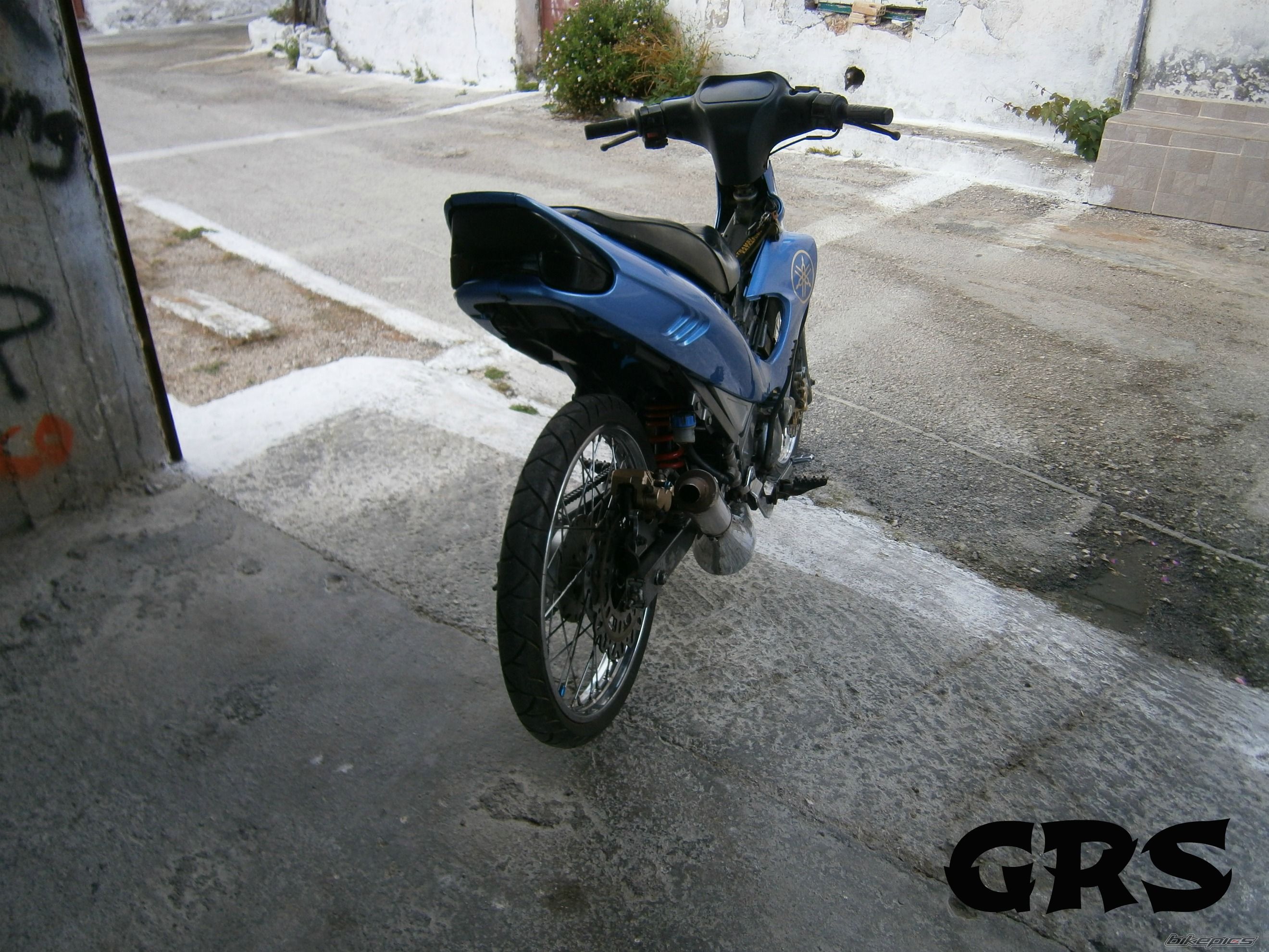 Photo 2650456