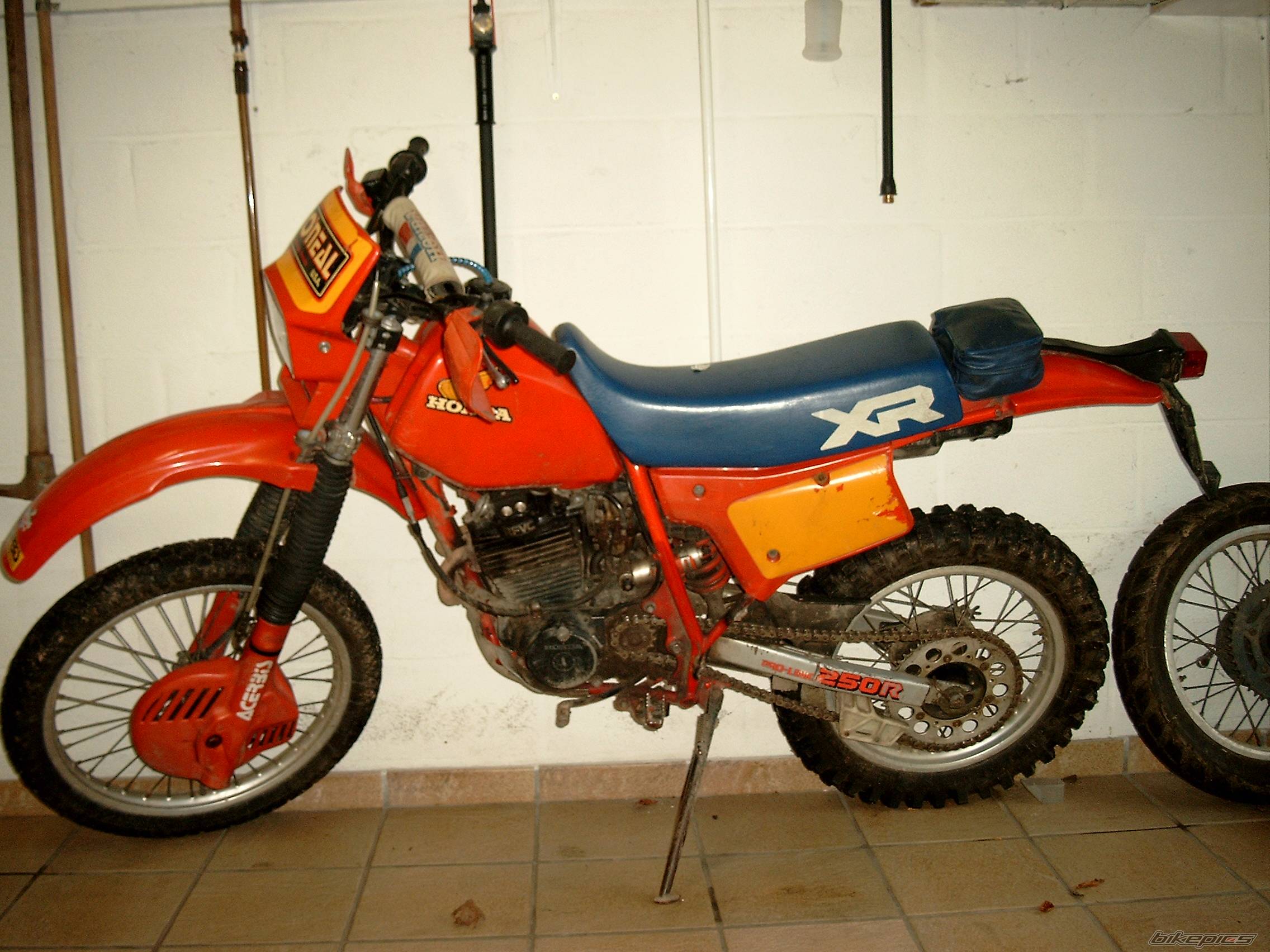 Photo 265372