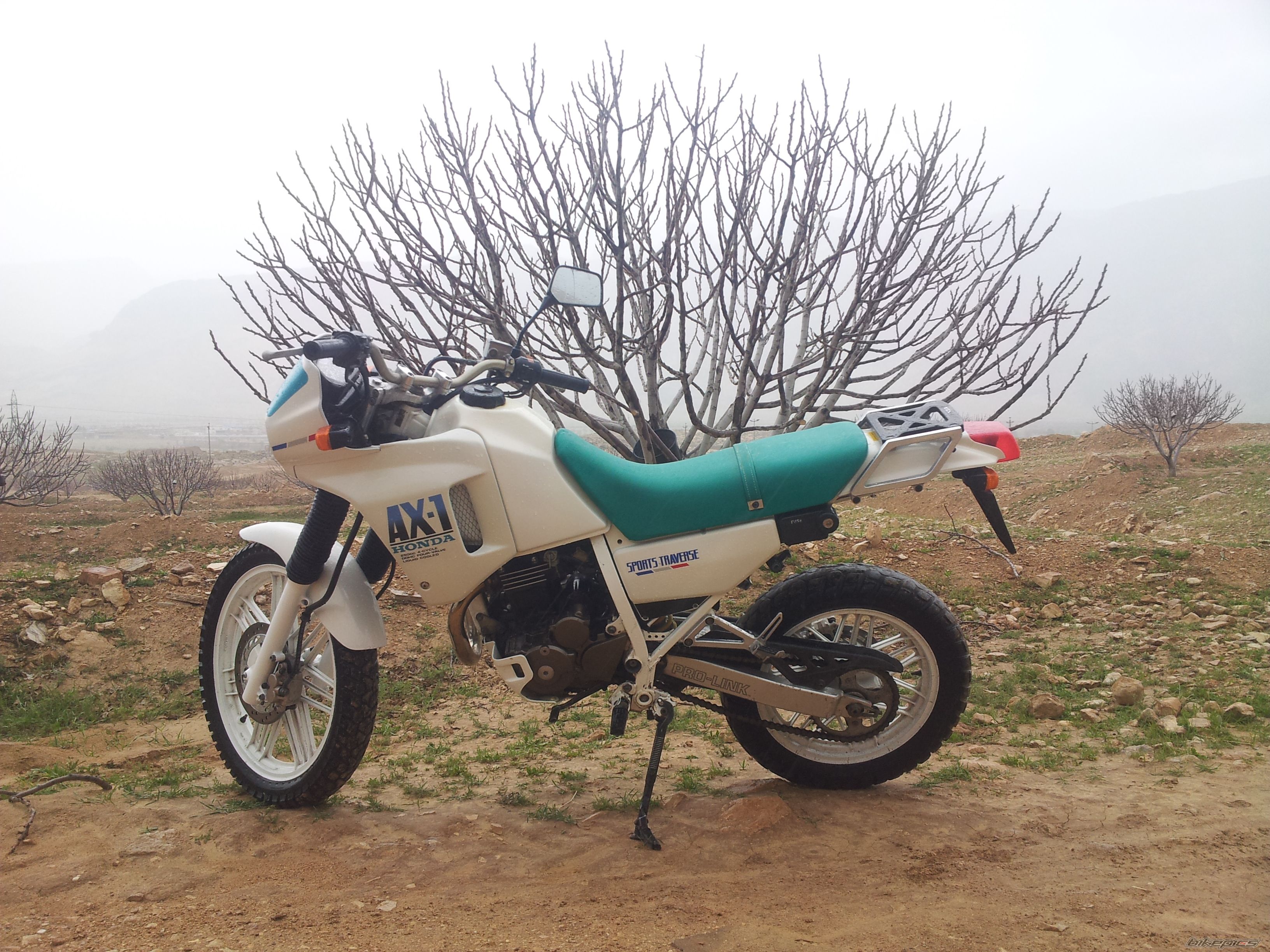 Photo 2654254