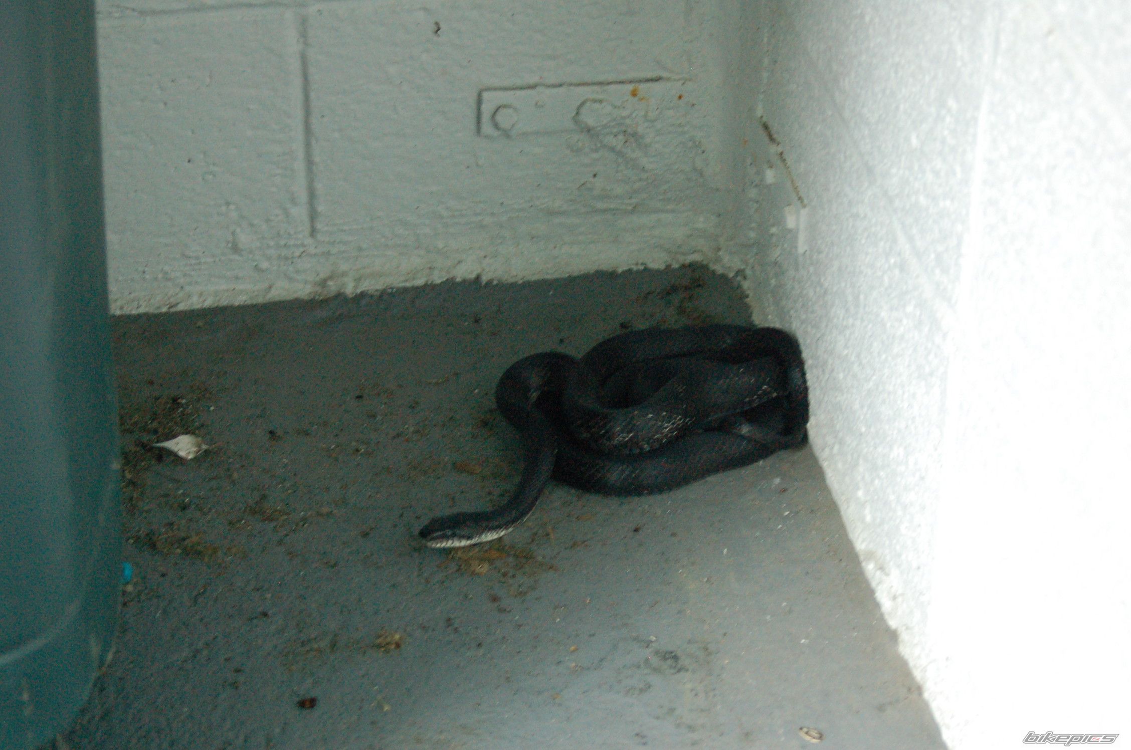 Photo 2654894