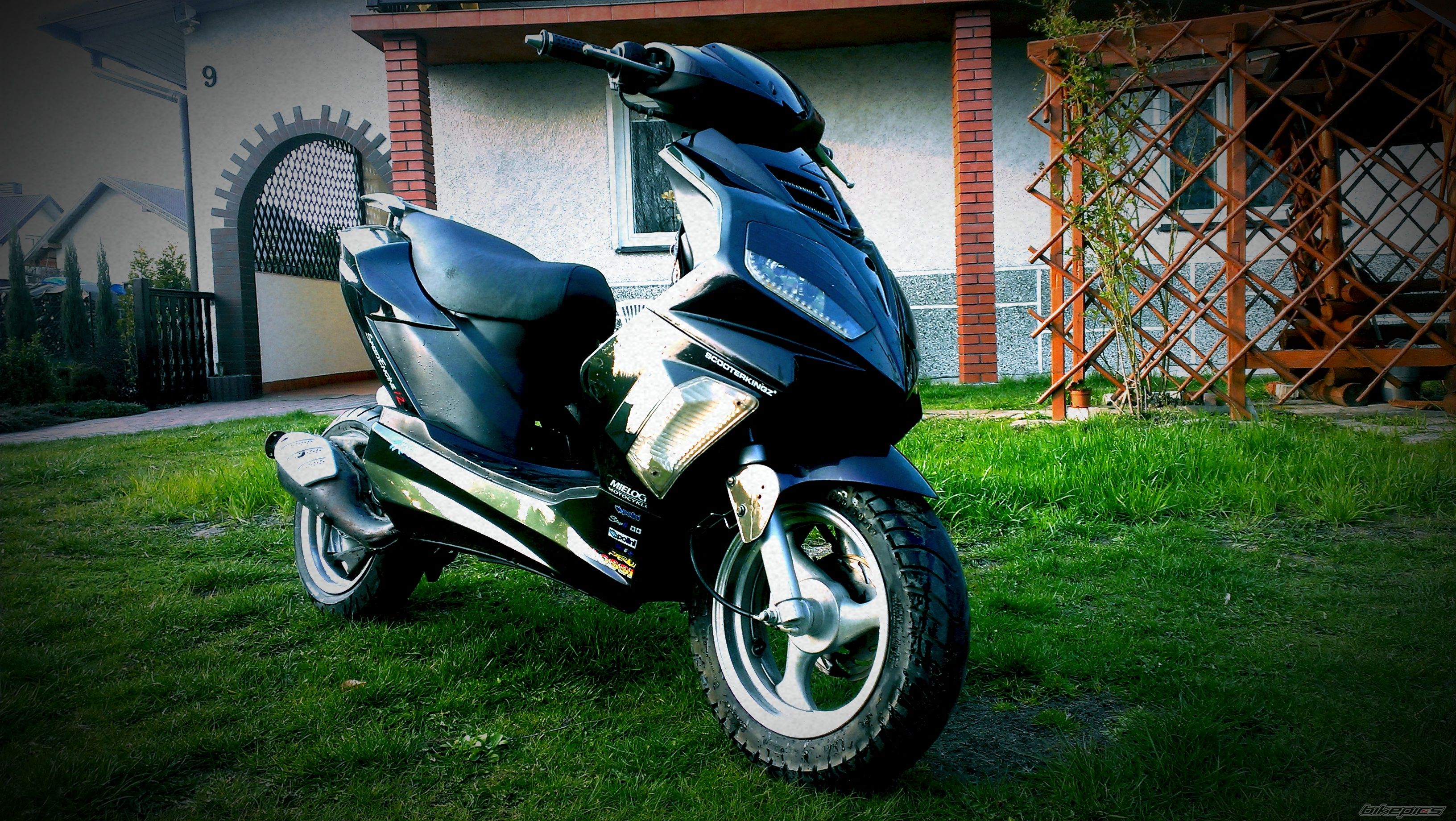 Photo 2656385