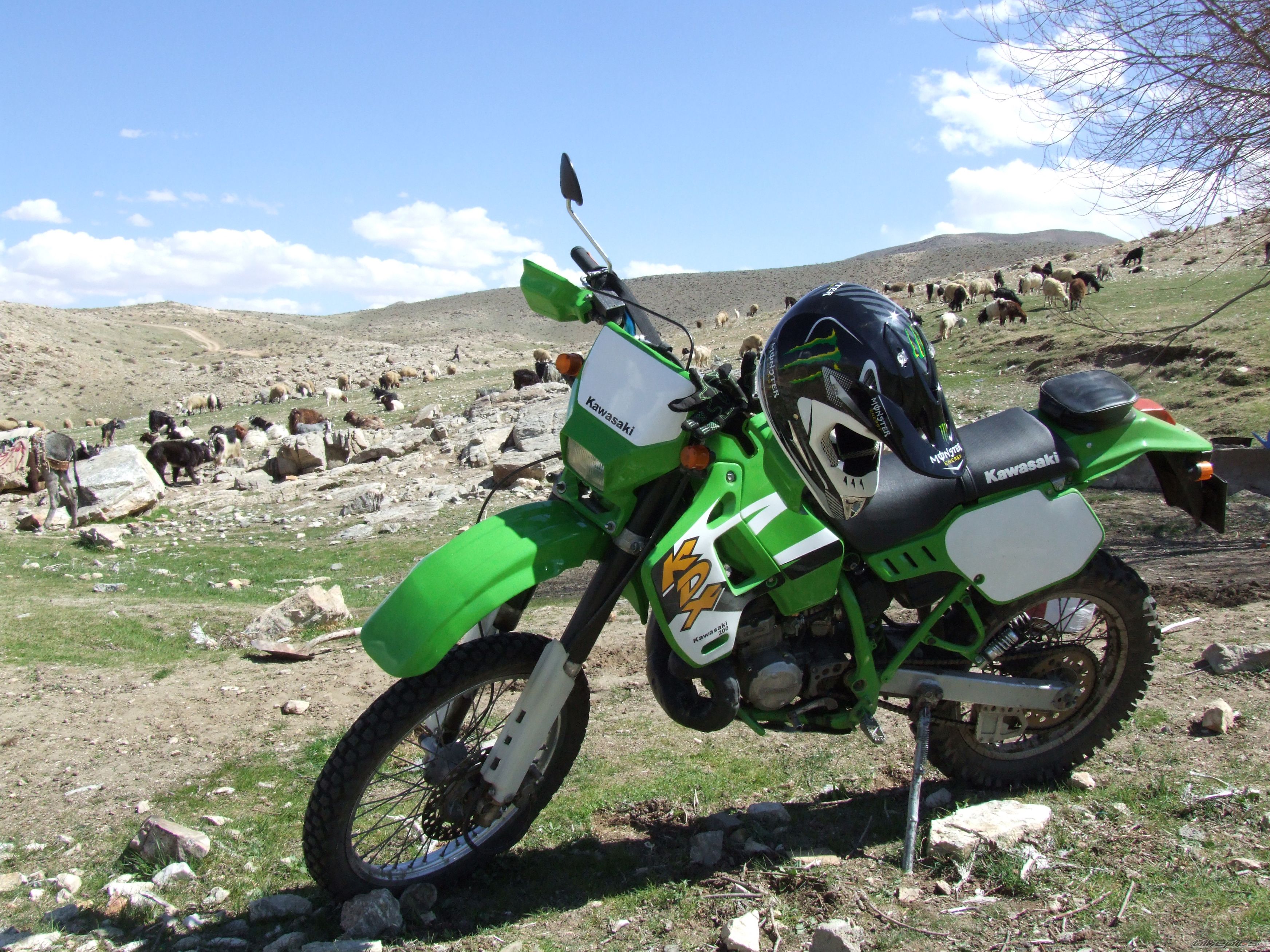 Photo 2656937