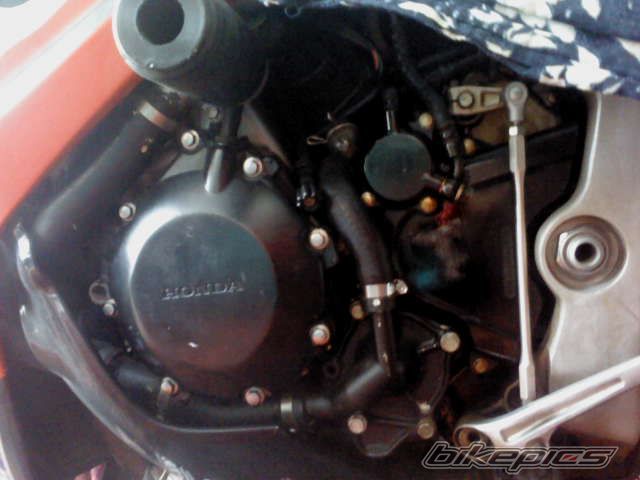 Photo 2657399