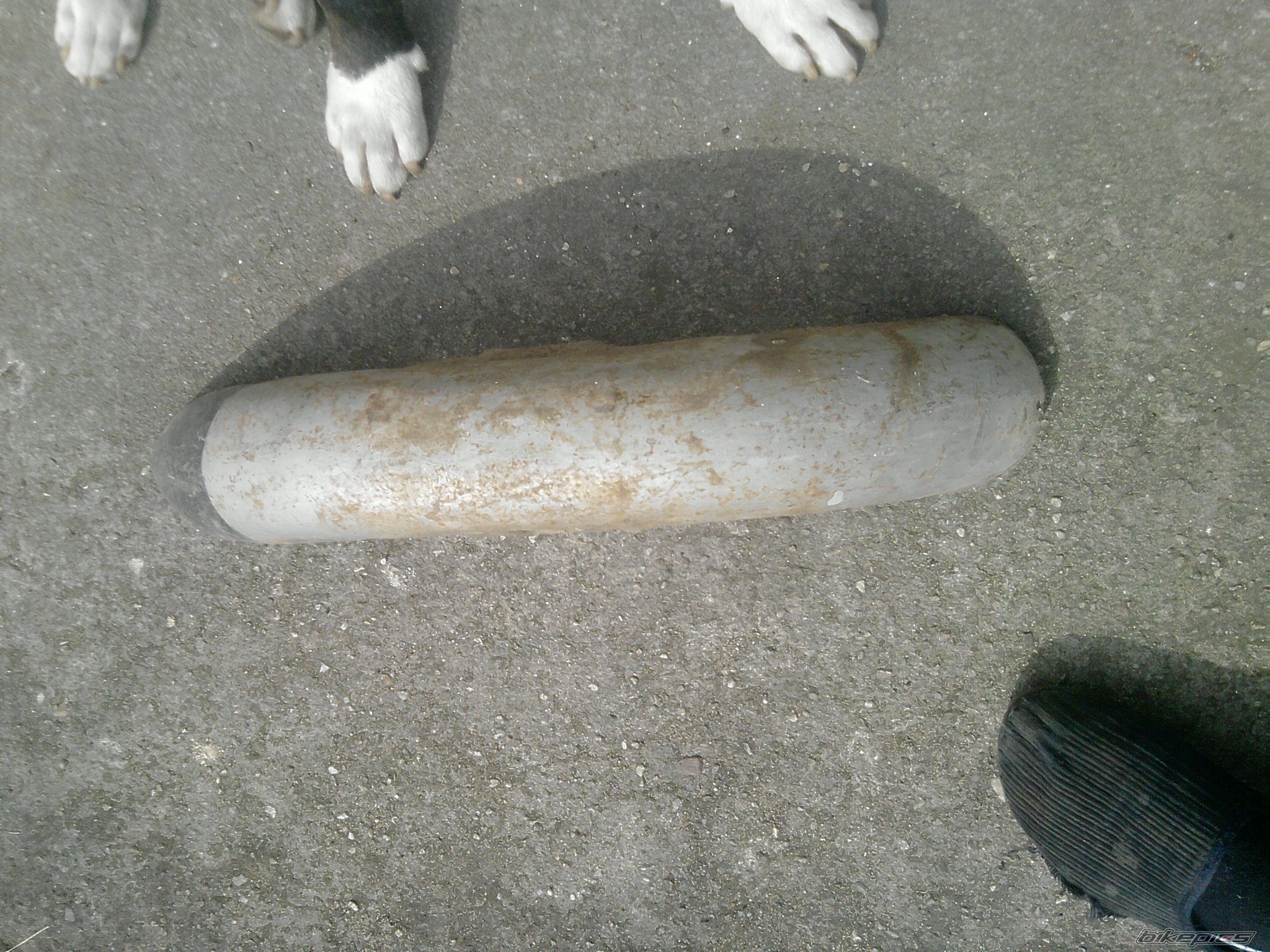Photo 2658184