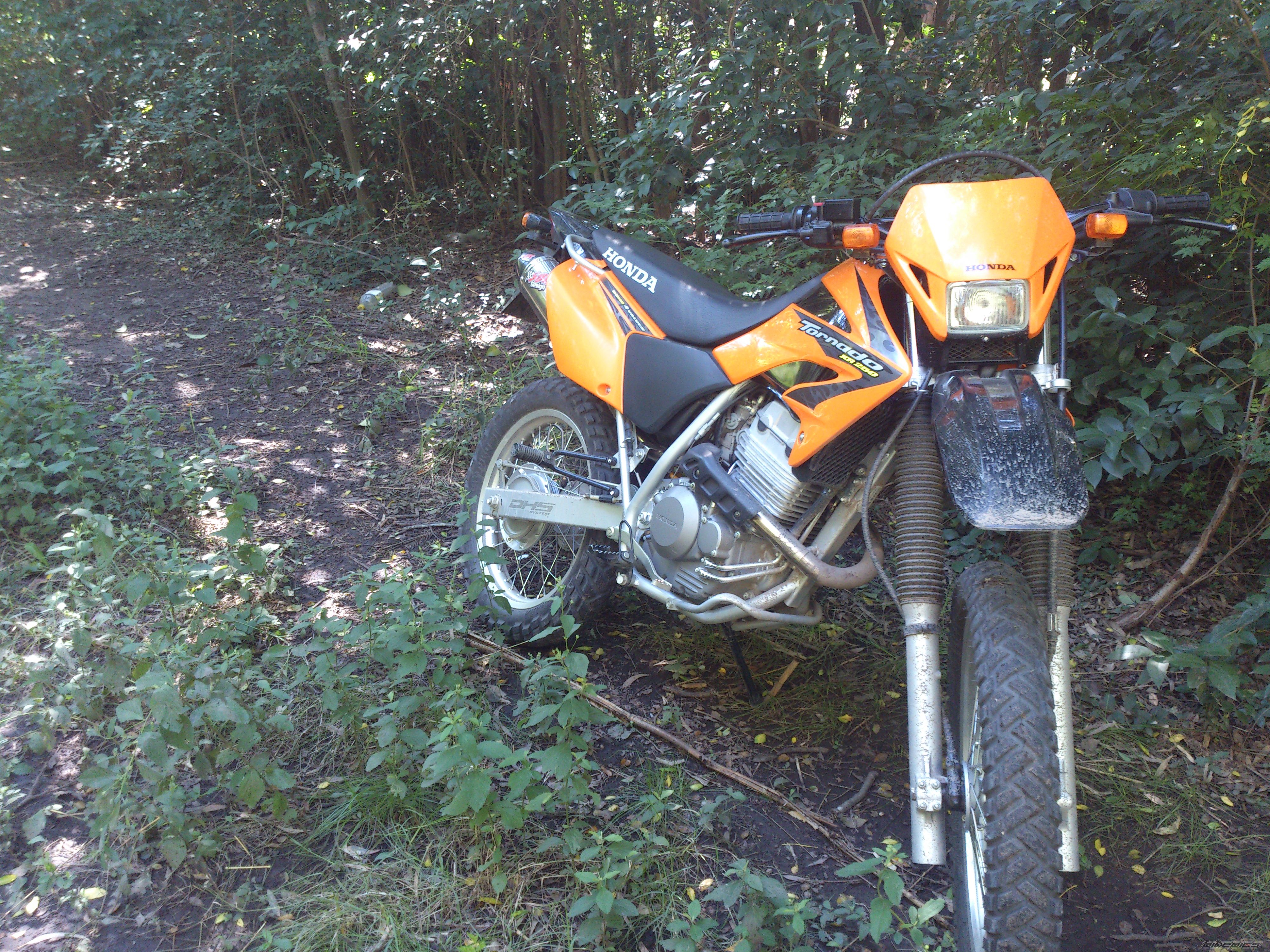 Photo 2658809