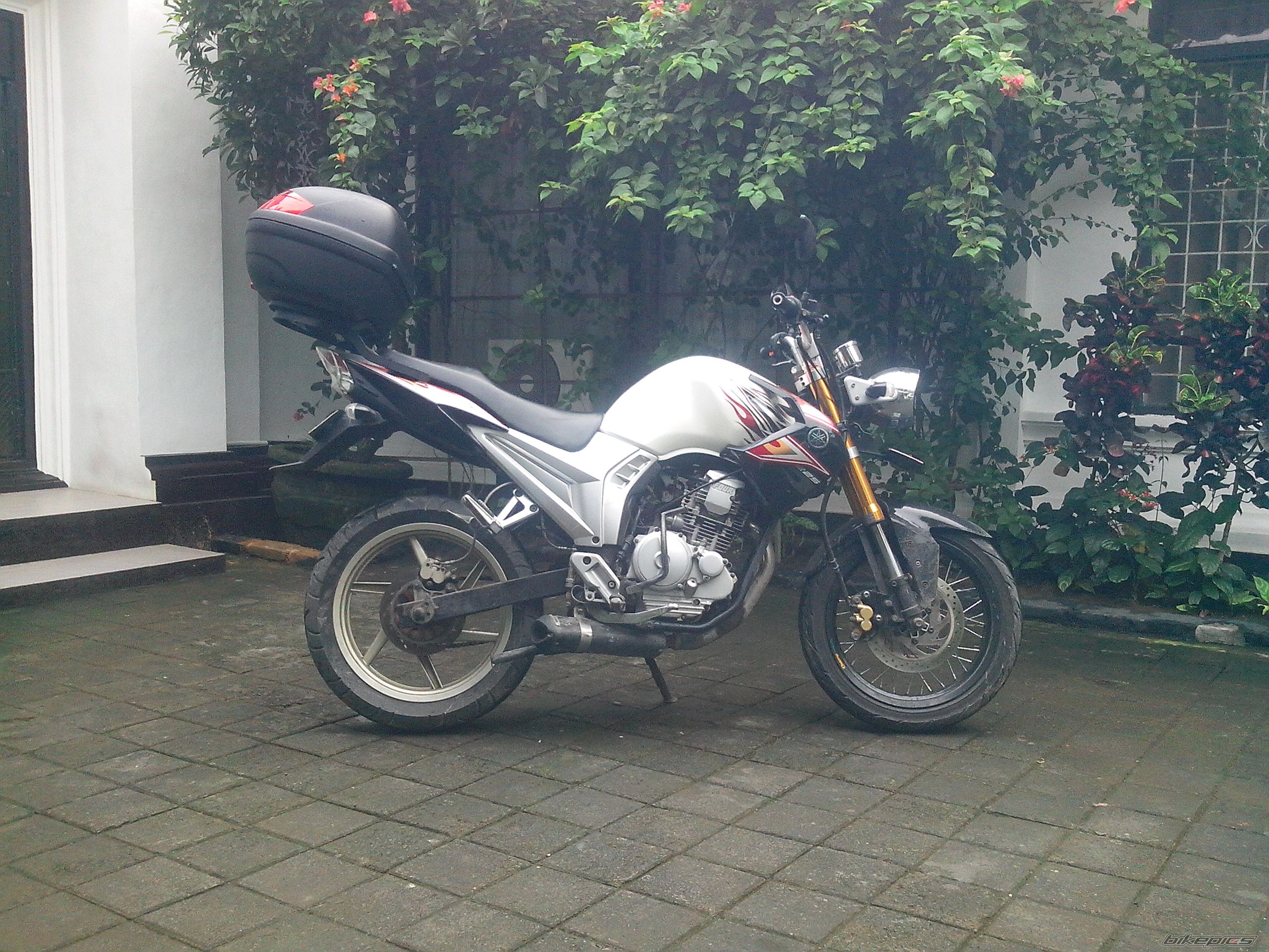 Photo 2659414